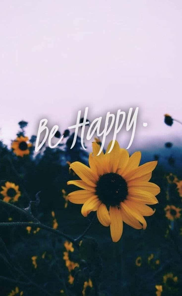 sunflower, field, soft purple sky, SD Phone Wallpaper