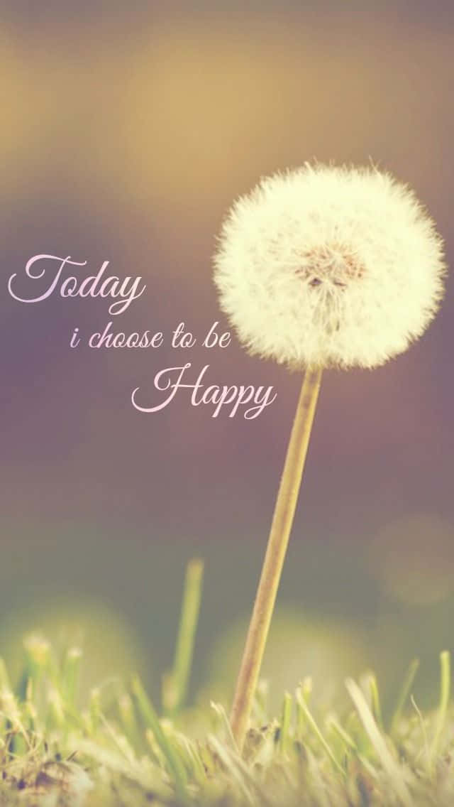 dandelion seed head, soft grass, Today i choose to be Happy, SD Phone Wallpaper