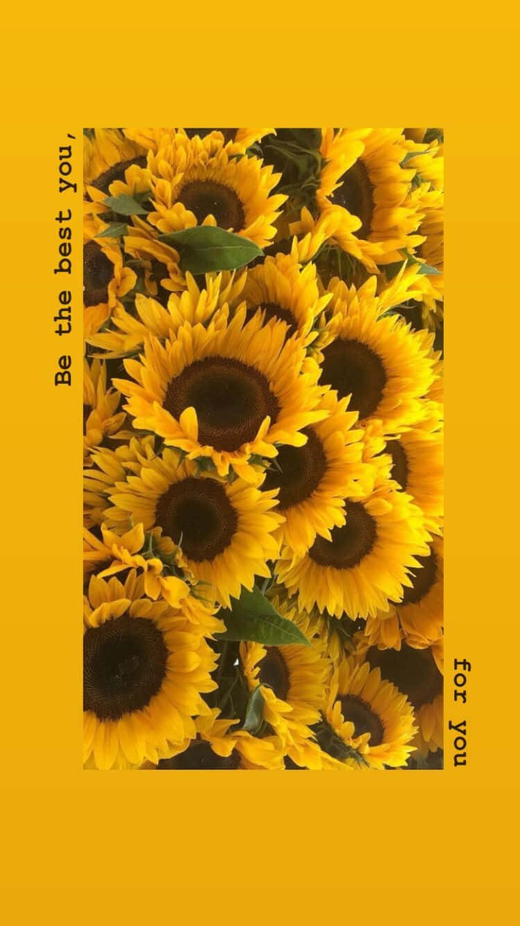 yellow aesthetic, tumblr, sunflowers, HD Phone Wallpaper