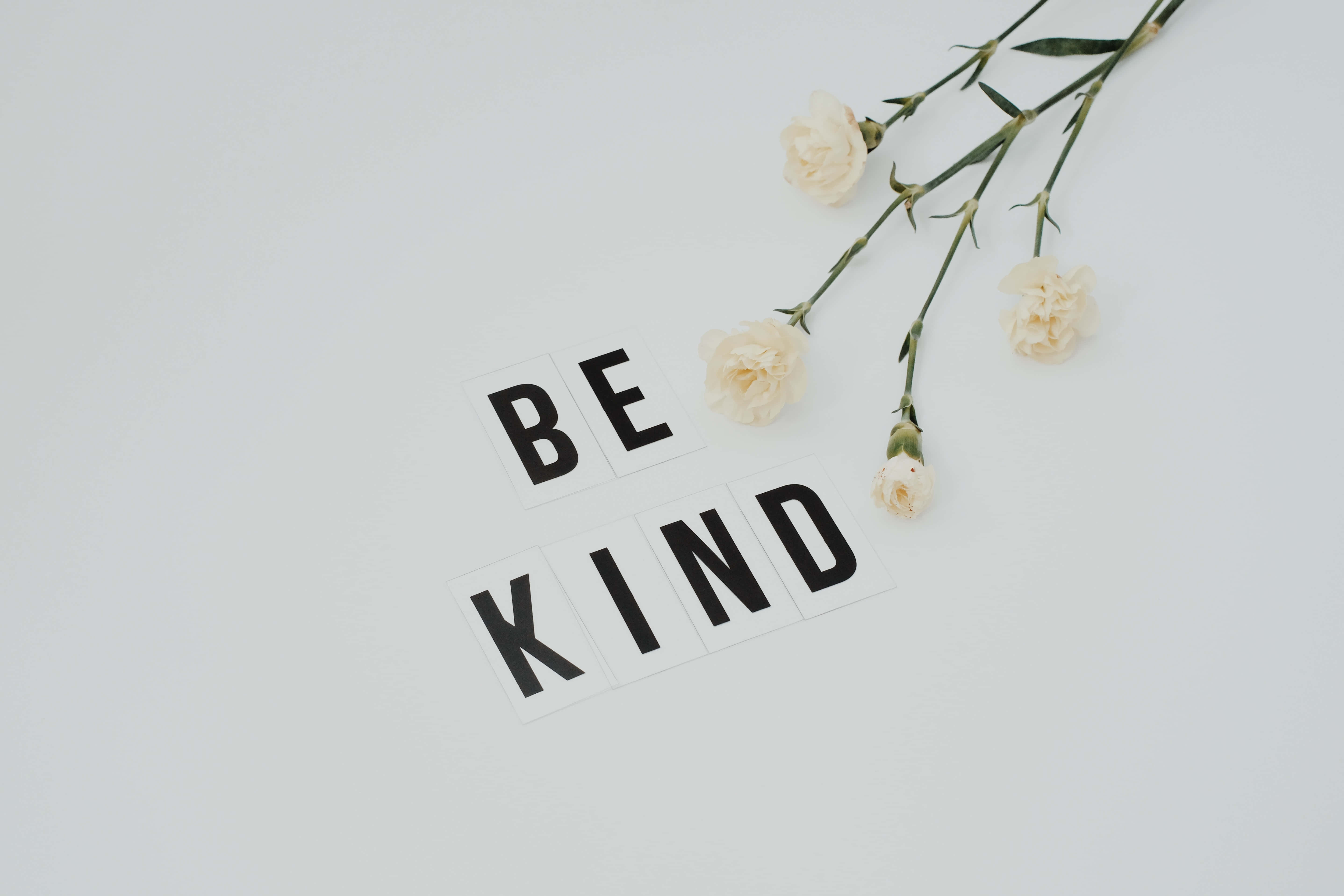 BE KIND, cream-colored carnations, soft white background, 5K Desktop Wallpaper