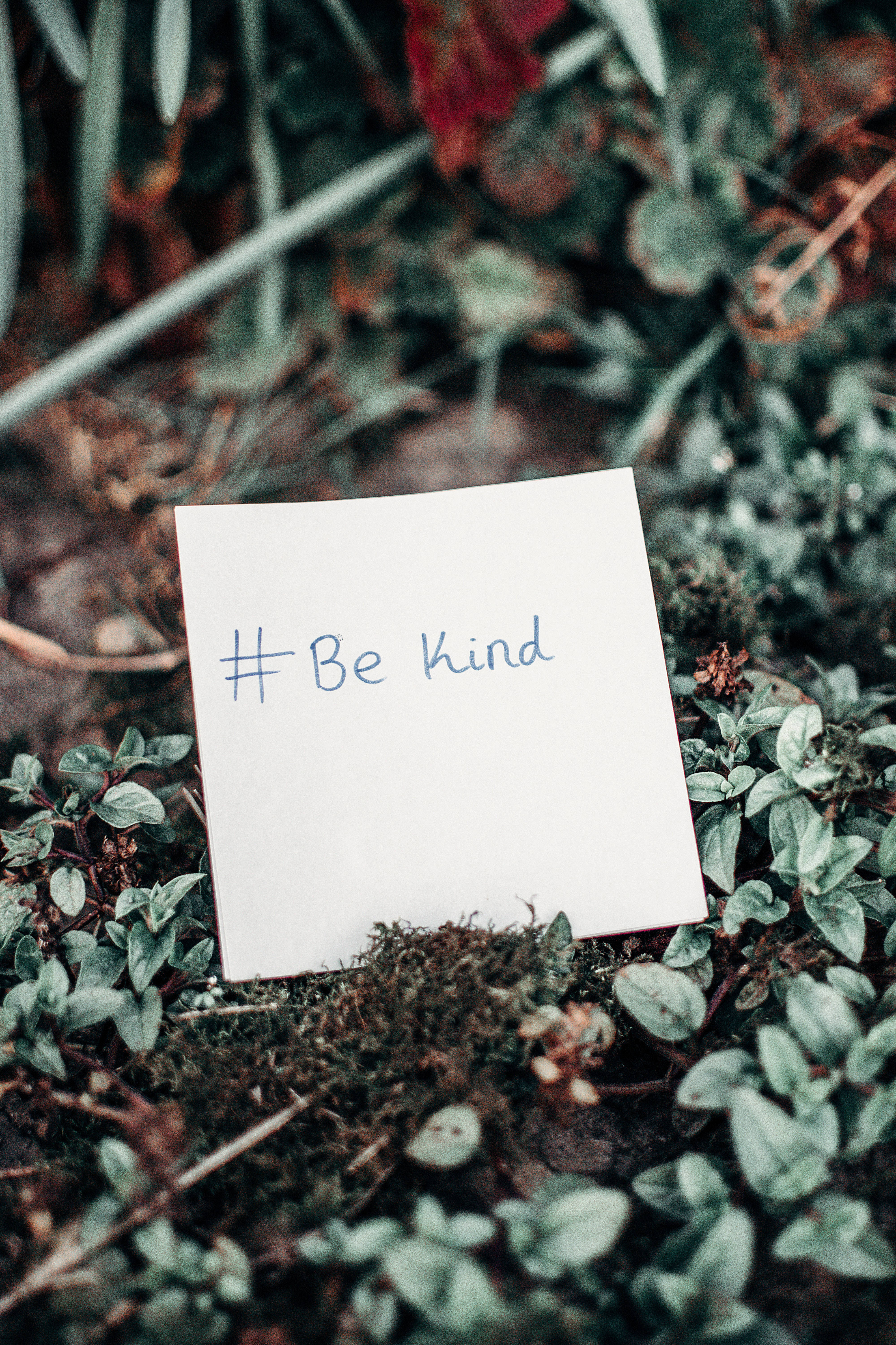 #Be kind, moss, green foliage, 5K Phone Wallpaper