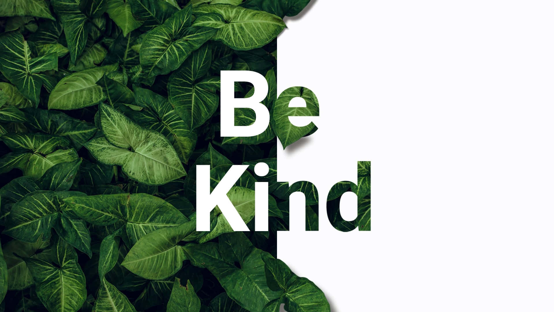 Be Kind, white text, lush green tropical leaves, Full HD Desktop Wallpaper