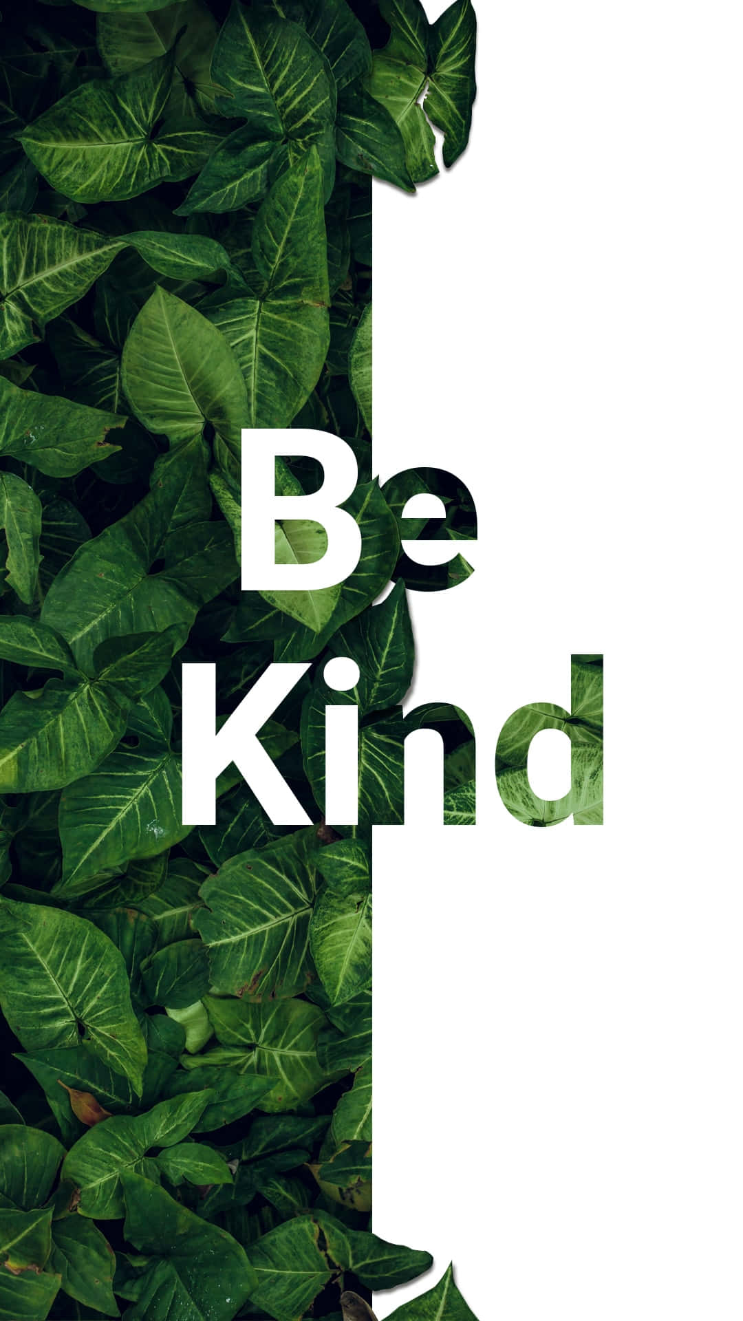 Be Kind, white text, lush green foliage, Full HD Phone Wallpaper