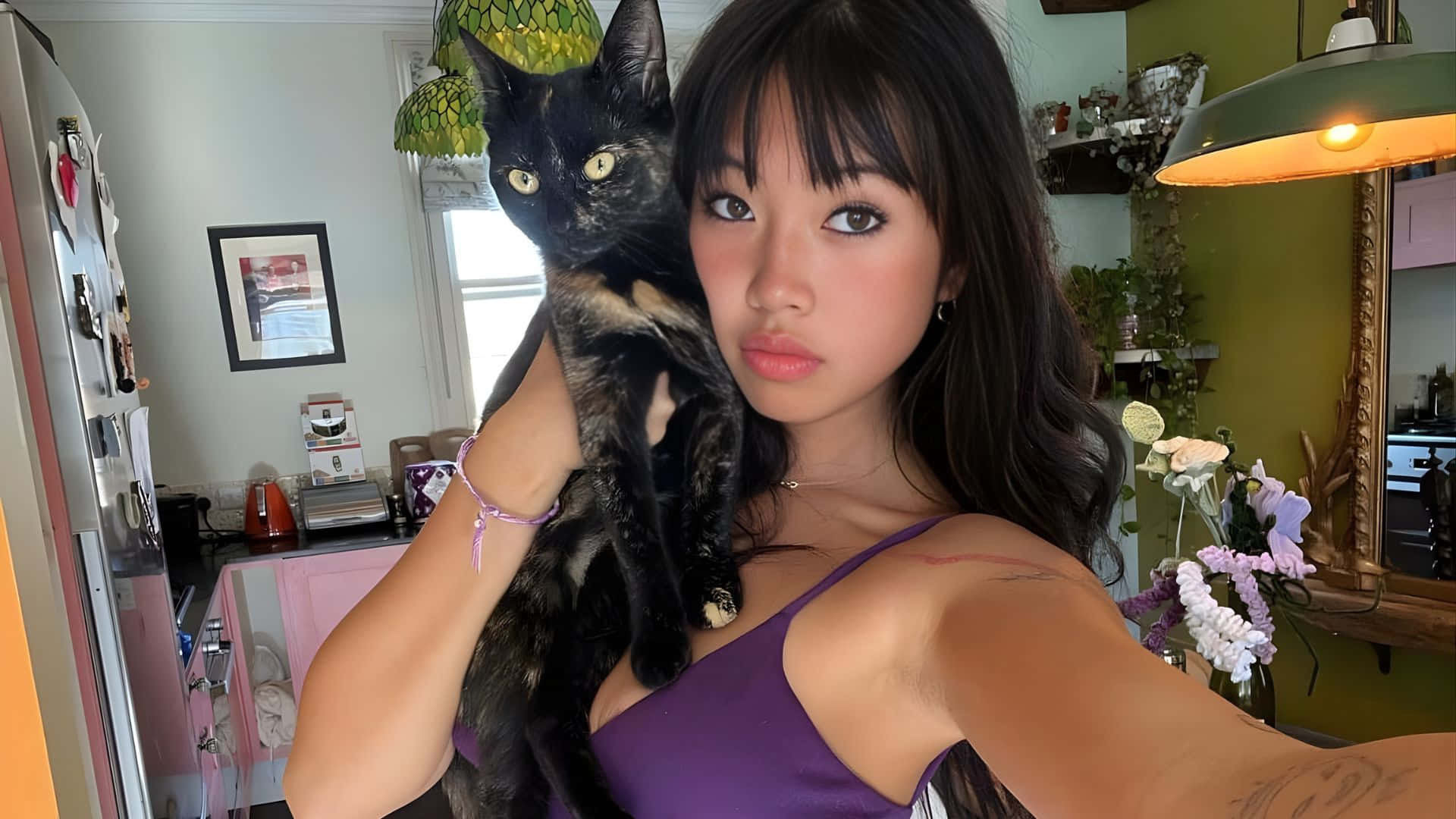 Beabadoobee, purple top, black tortoiseshell cat, Full HD Desktop Wallpaper