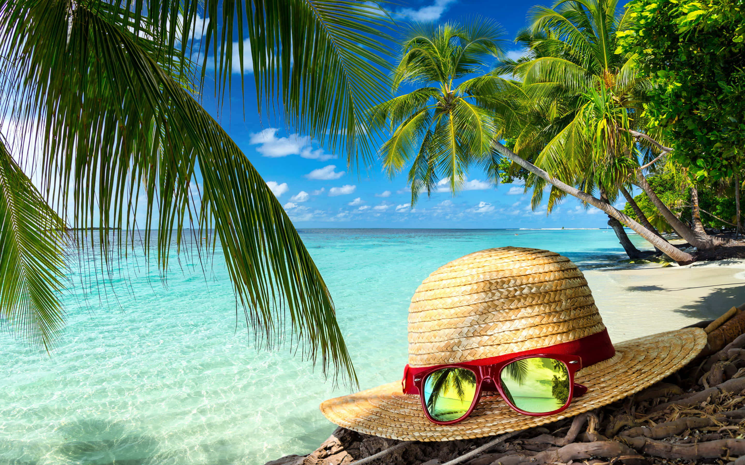 straw hat, red sunglasses, tropical beach, 2K Desktop Wallpaper