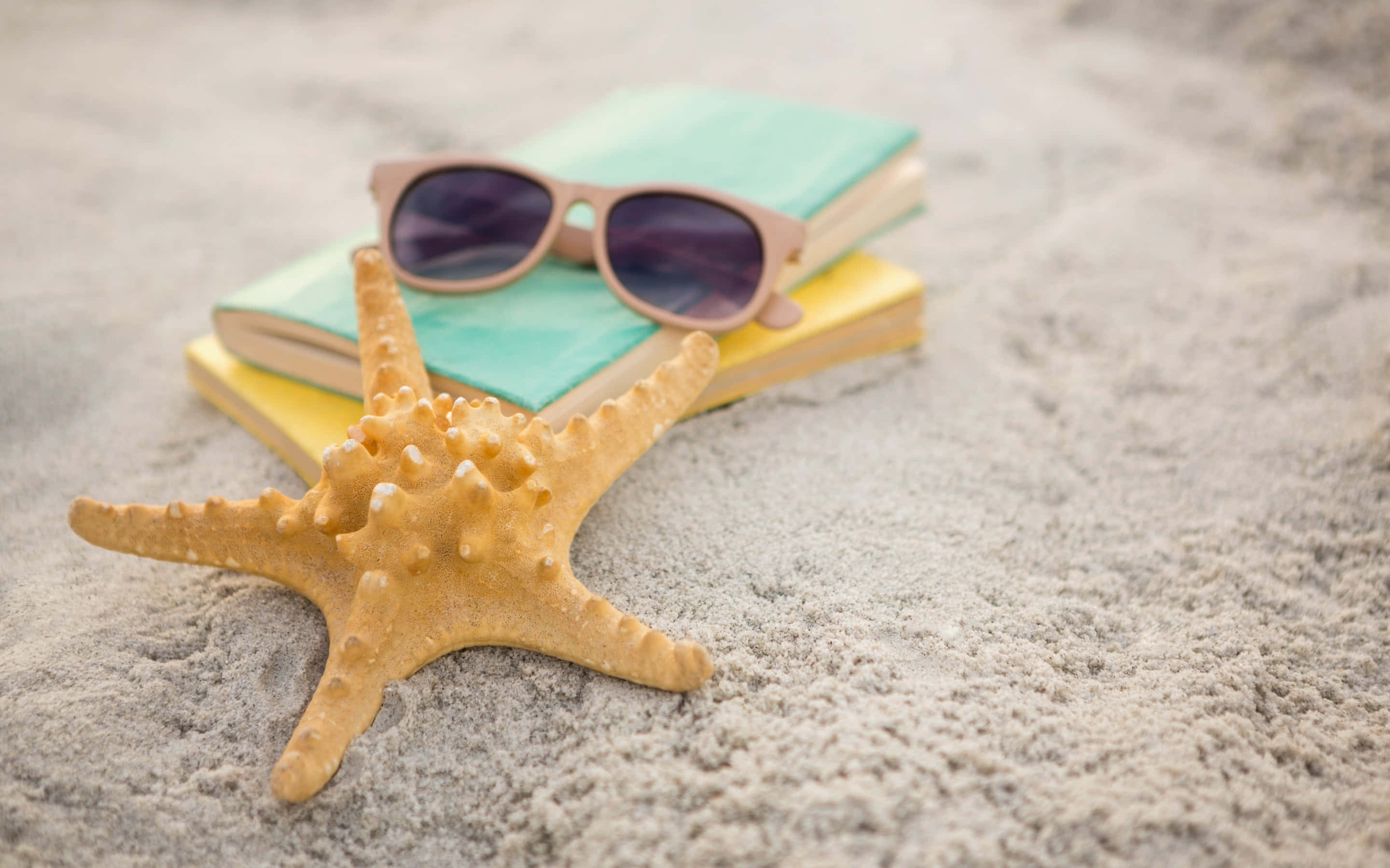 orange starfish, fine sand, colorful books, 2K Desktop Wallpaper