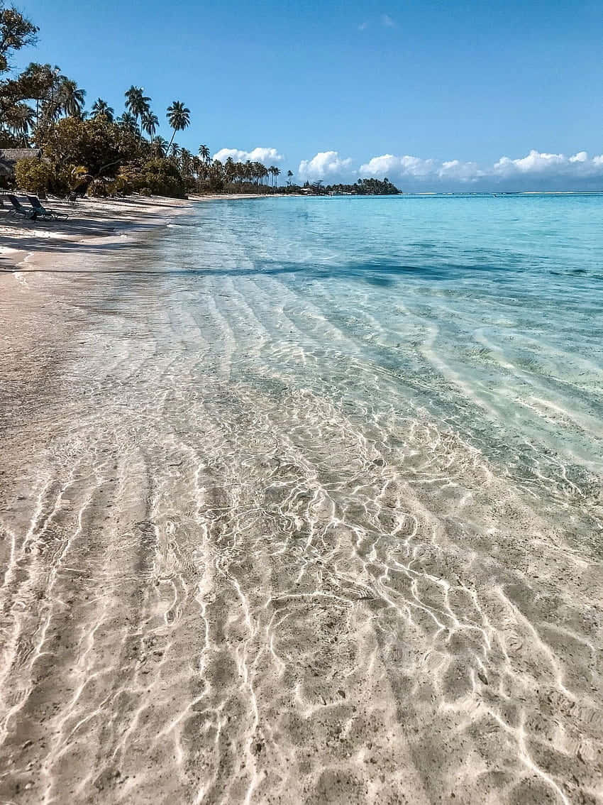 tropical paradise beach, coastline, crystal clear turquoise water, SD Phone Wallpaper