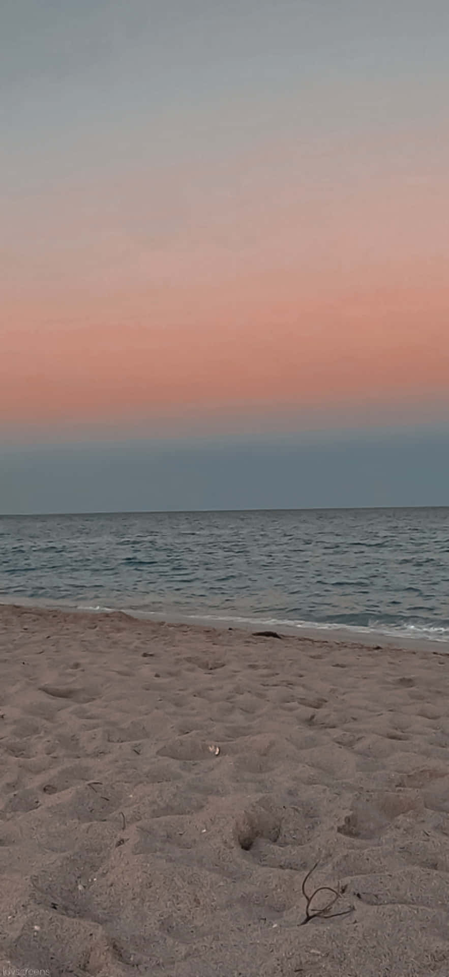 beach, sunset, pink sky, Full HD Phone Wallpaper