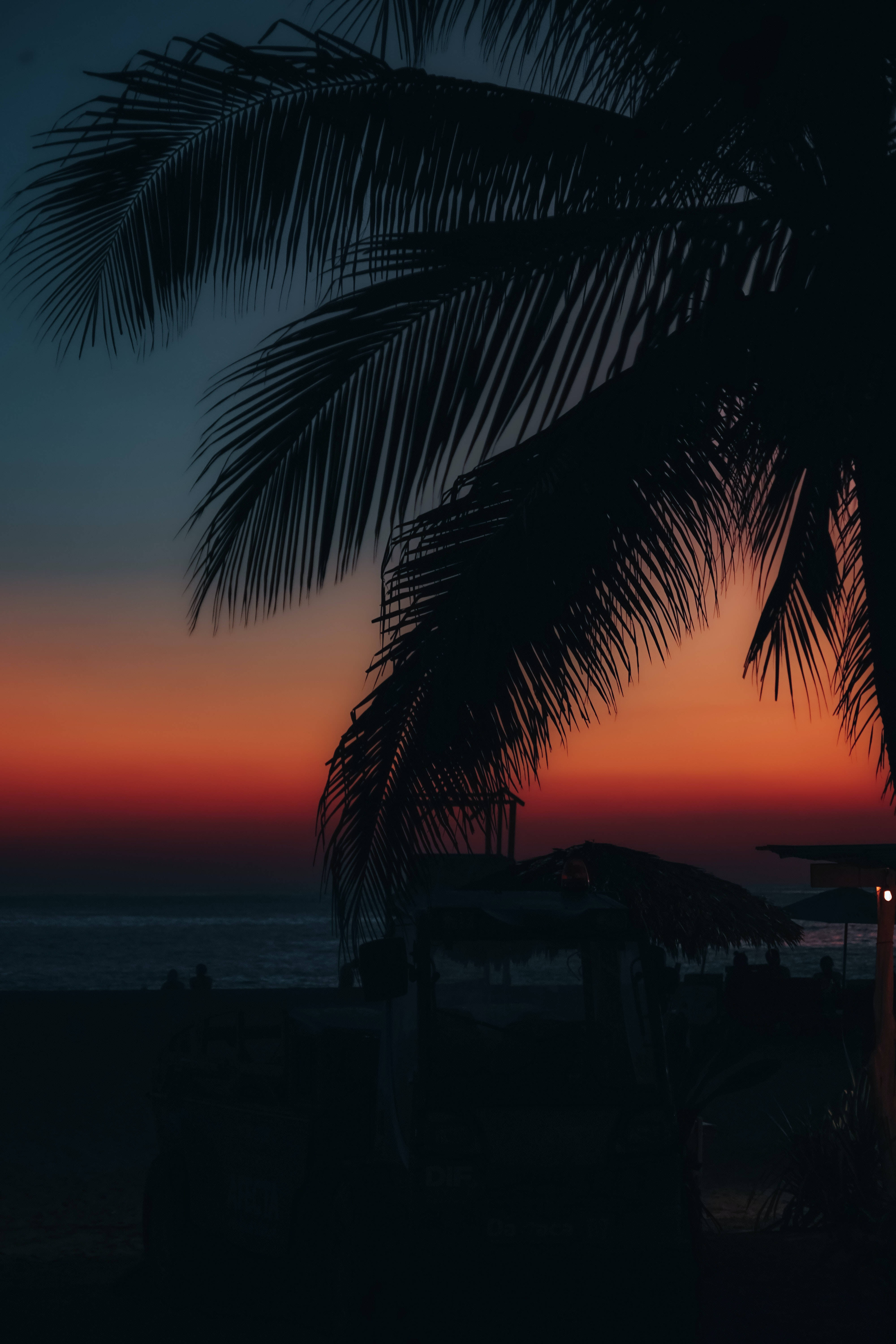 Palm Leaves, Dark Sunset, Beach, 5K Phone Wallpaper