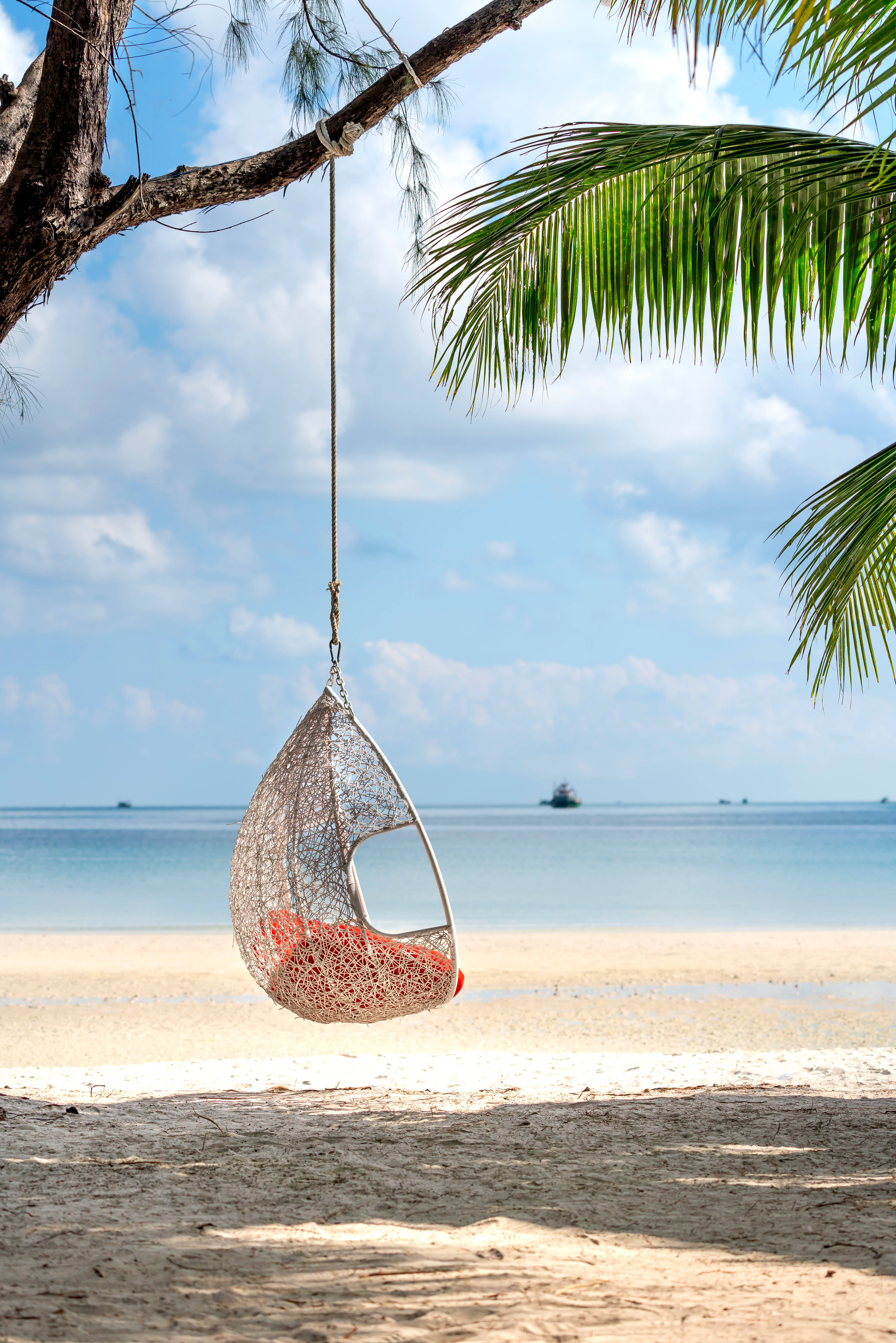 Beach Android, woven hanging chair, palm tree, 8K Phone Wallpaper