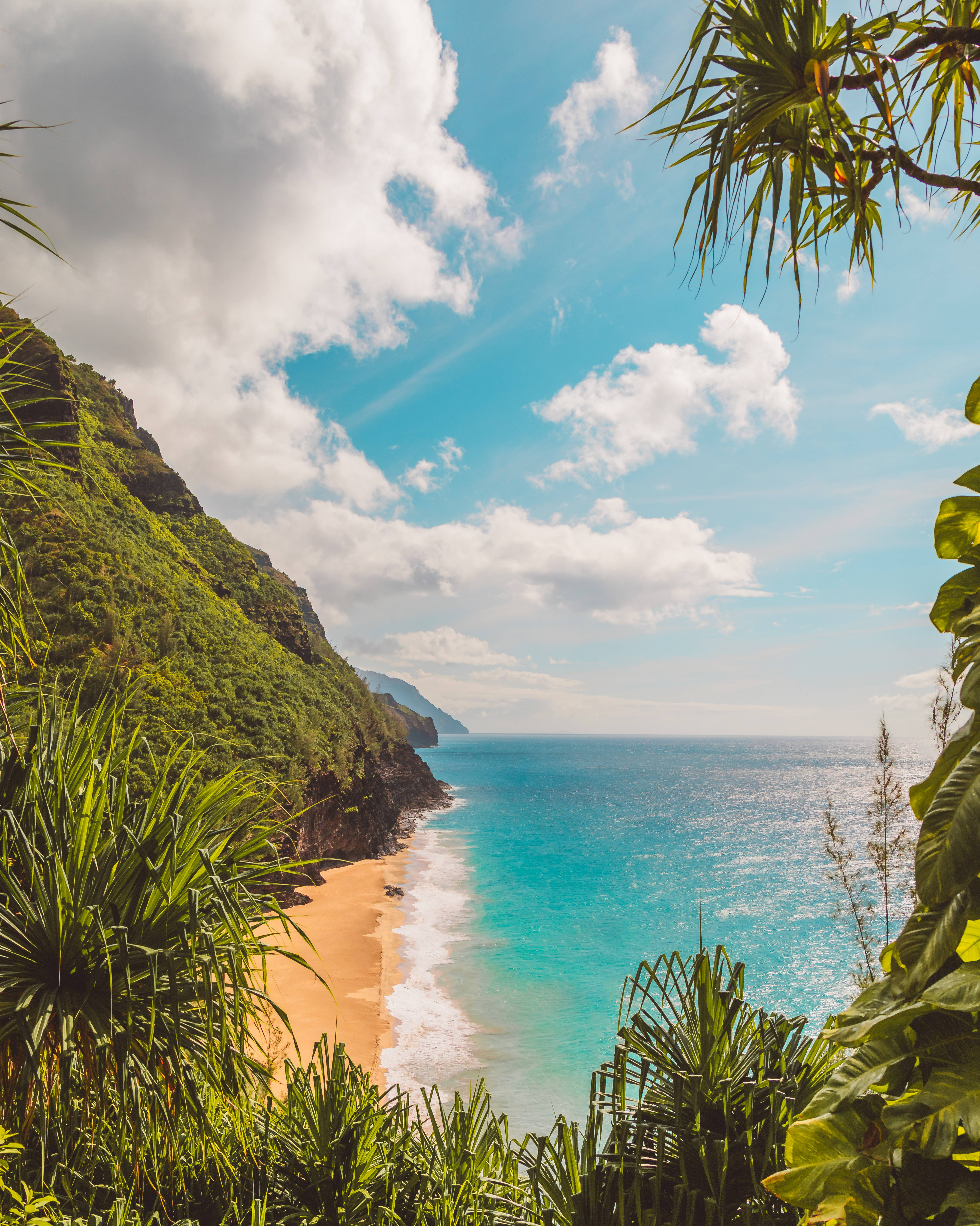Hidden Beach Android, tropical beach, lush green foliage, 8K Phone Wallpaper