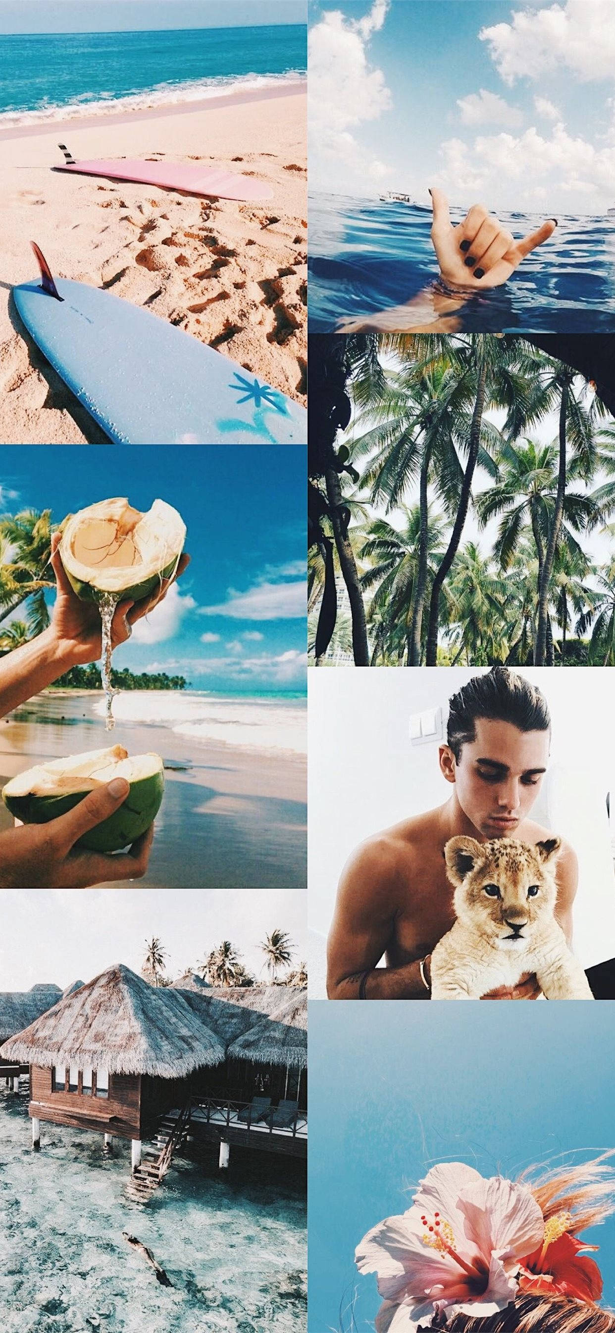 Aesthetic Beach Collage, surfboards, sand, 2K Phone Wallpaper