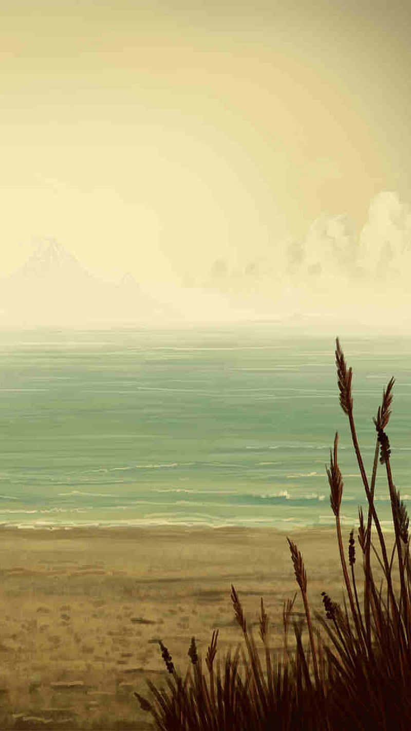 retro miami, beach, tall grasses, HD Phone Wallpaper
