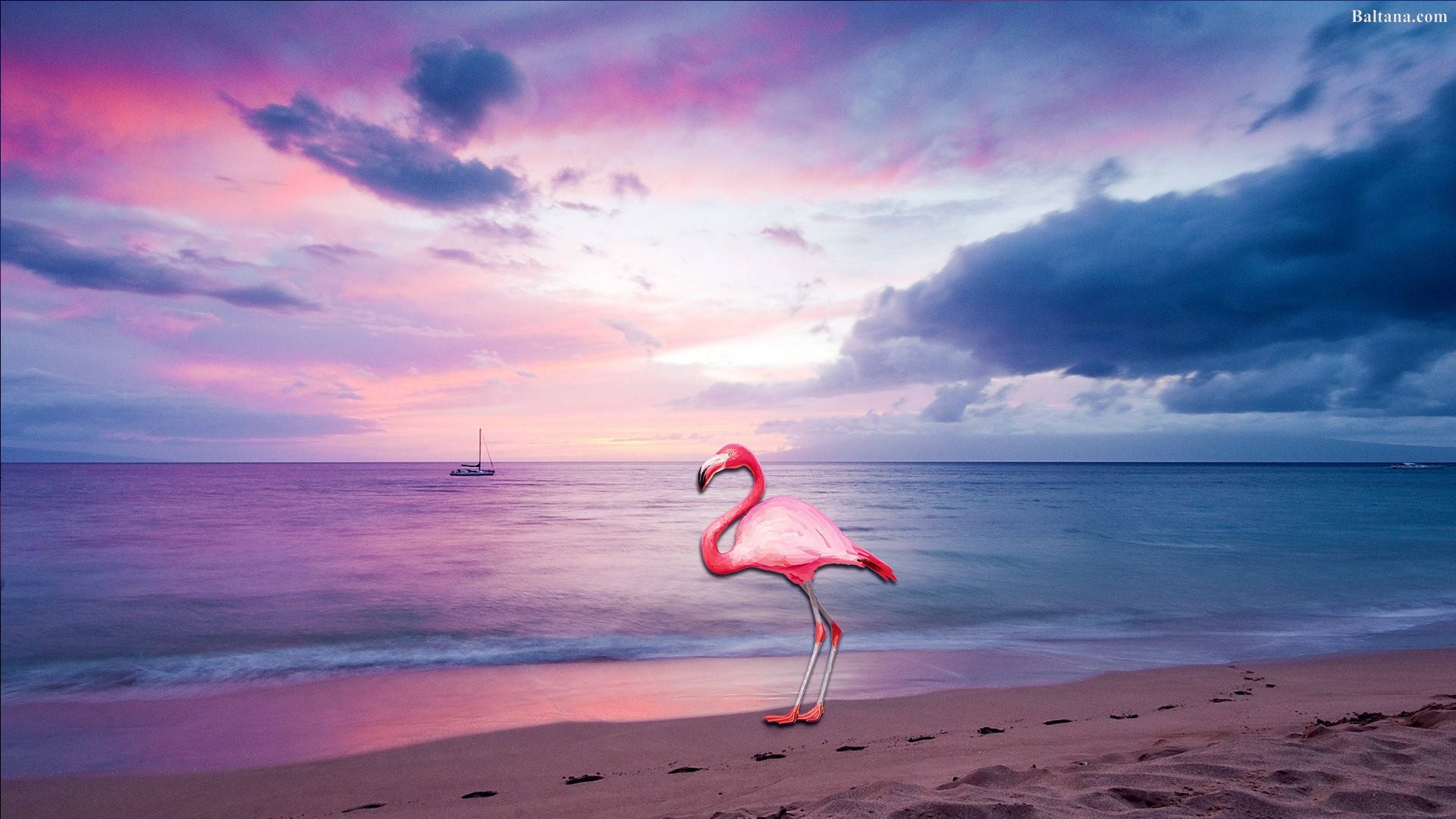 flamingo, pink and purple sunset, sandy beach, Full HD Desktop Wallpaper