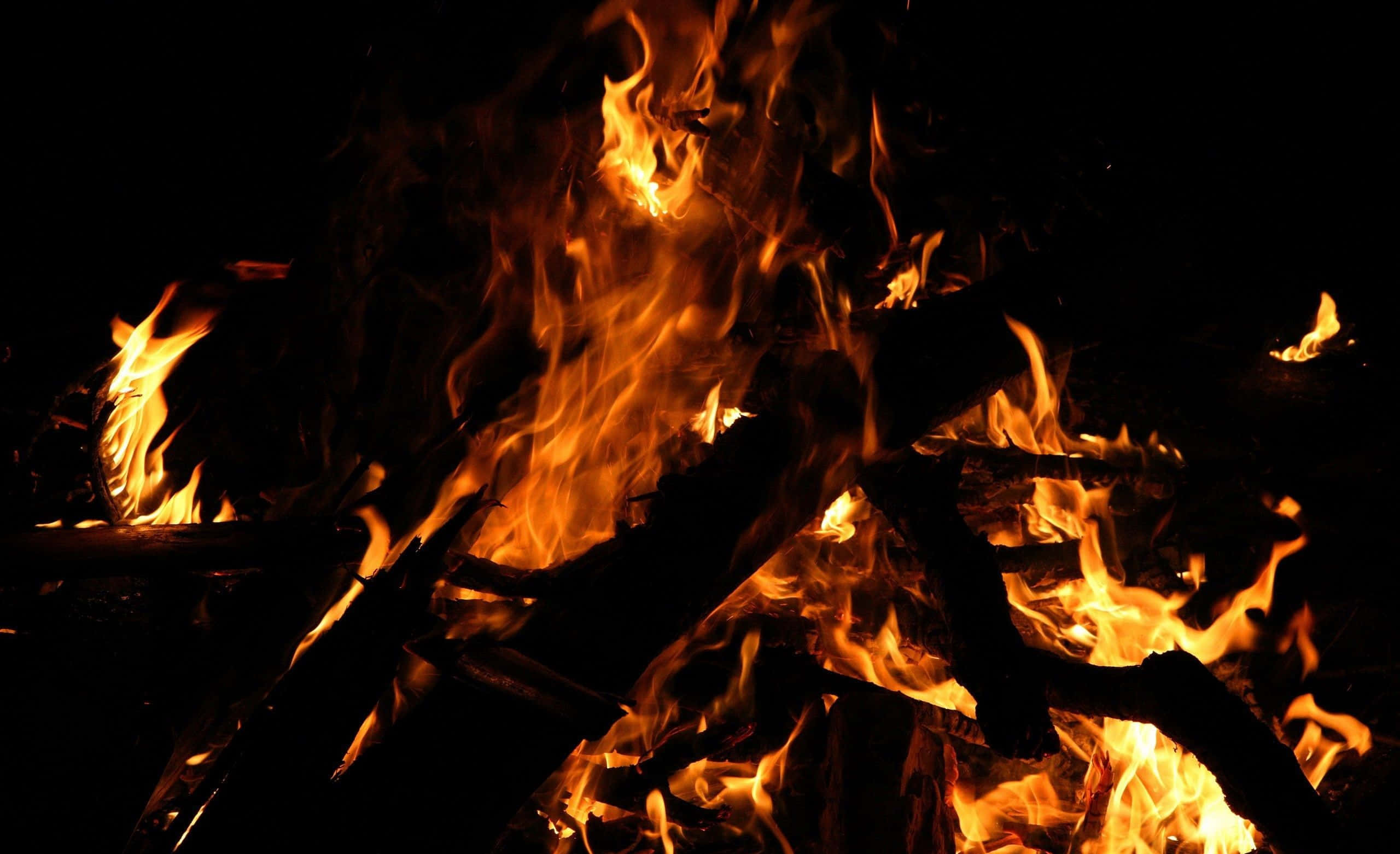 beach bonfire, sunset, intense flames, 2K Desktop Wallpaper