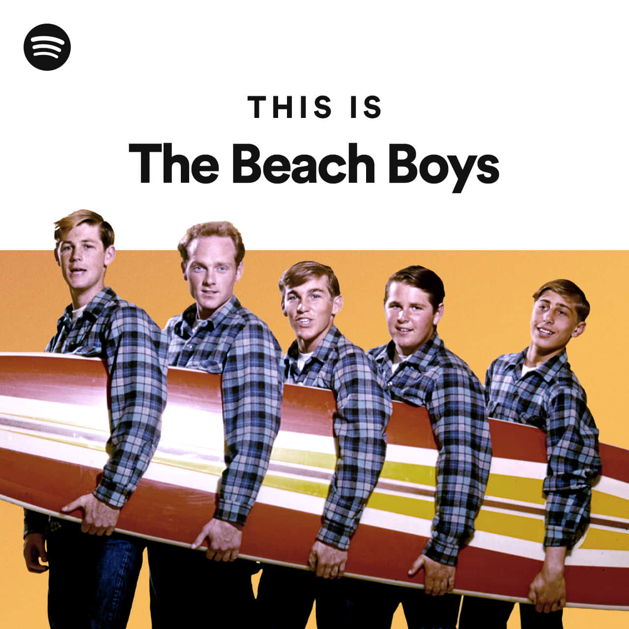 Beach Boys, Spotify Playlist, plaid shirts, HD Desktop Wallpaper