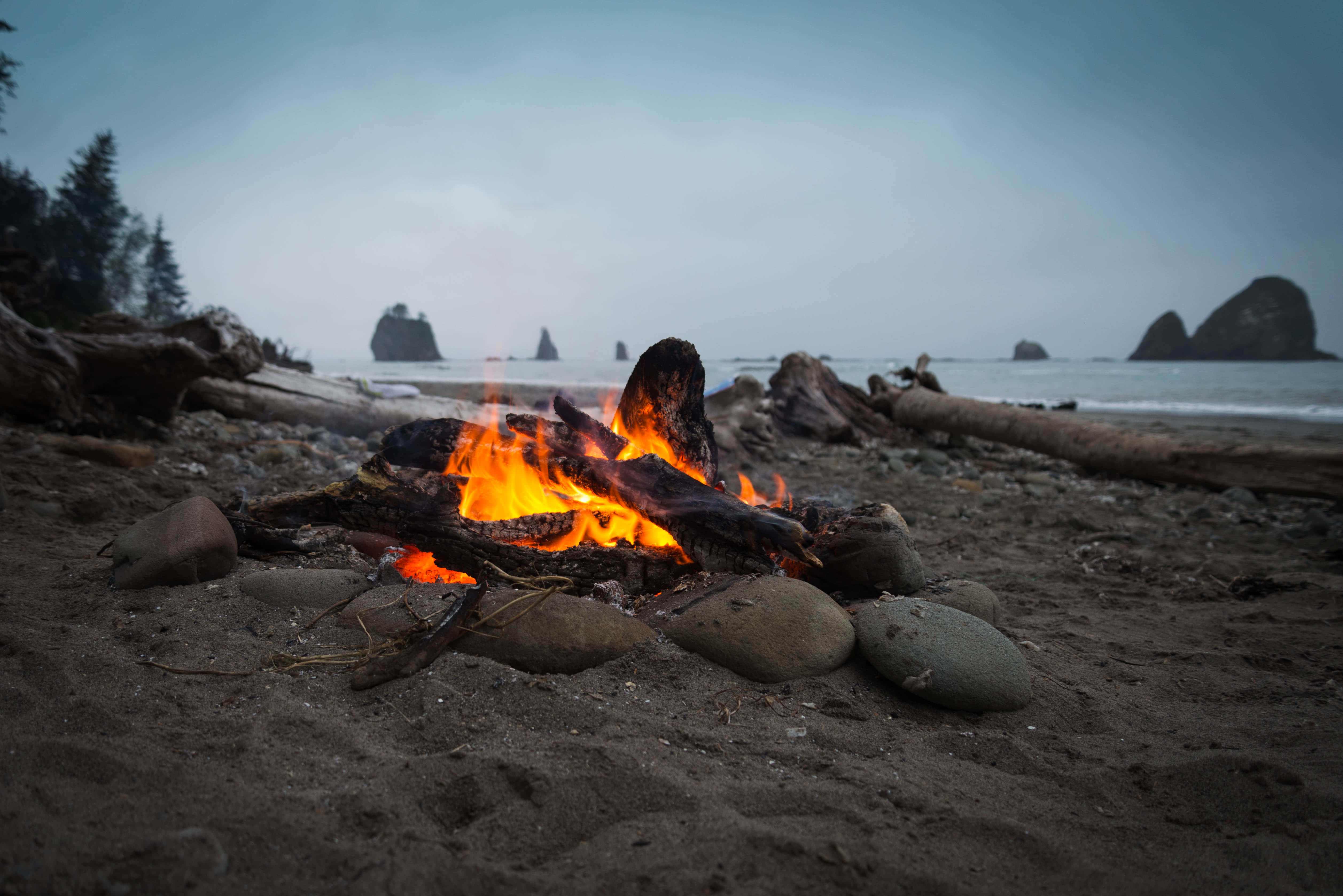Beach Campfire, campfire, misty beach, 4K Desktop Wallpaper