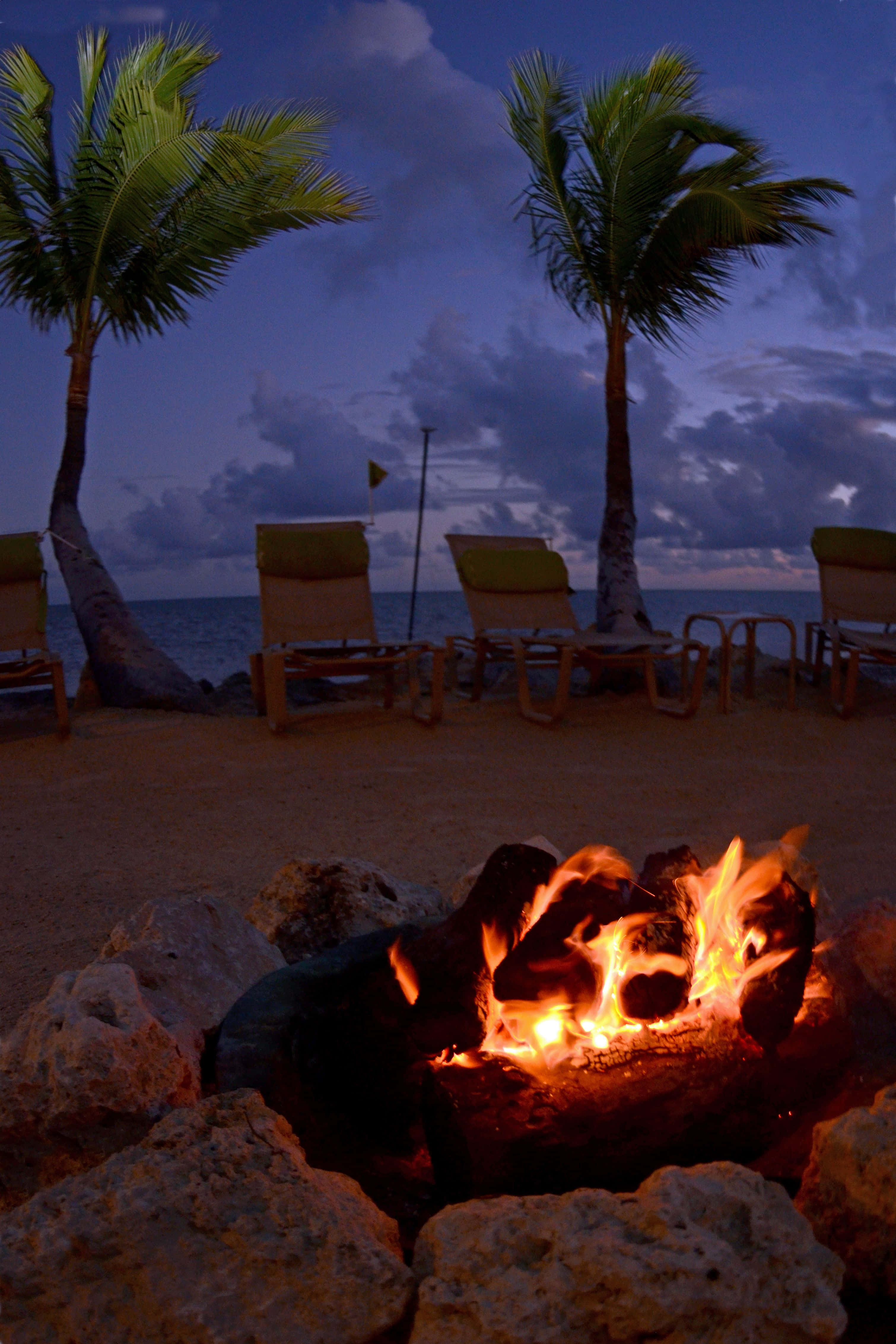 Beach Campfire, twilight, palm trees, 4K Phone Wallpaper