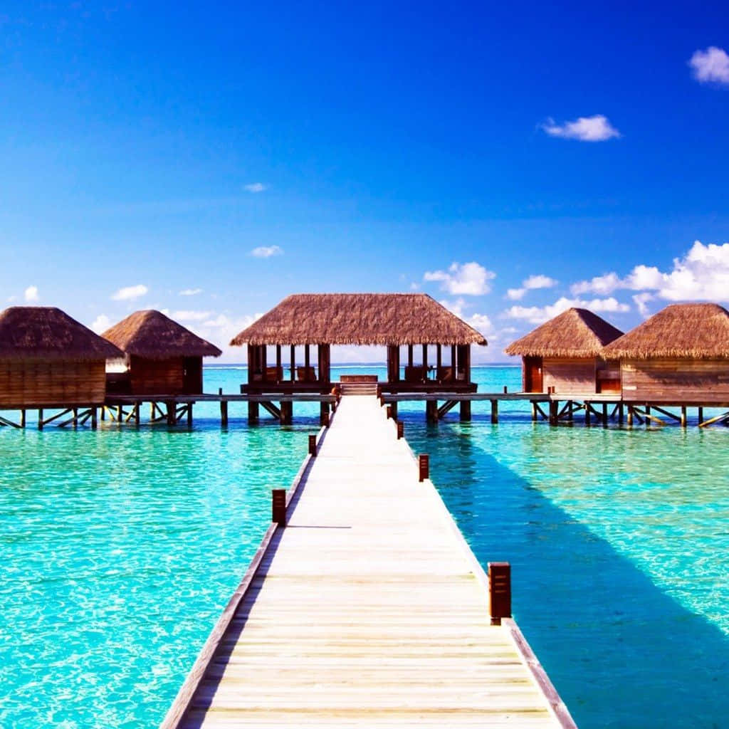 wooden pier, overwater bungalows, thatched roofs, SD Desktop Wallpaper