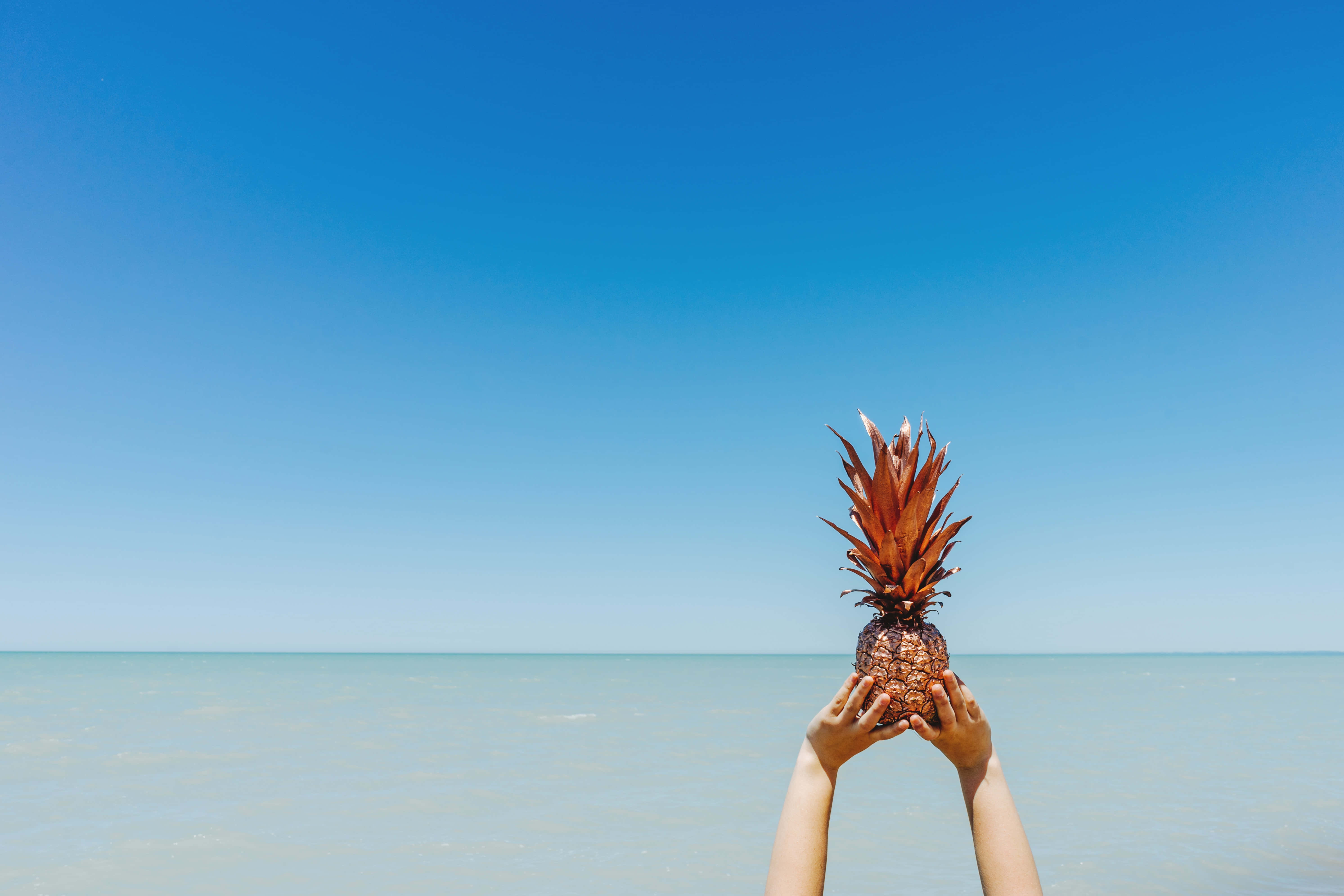 pineapple, vast blue sky, calm ocean horizon, 5K Desktop Wallpaper