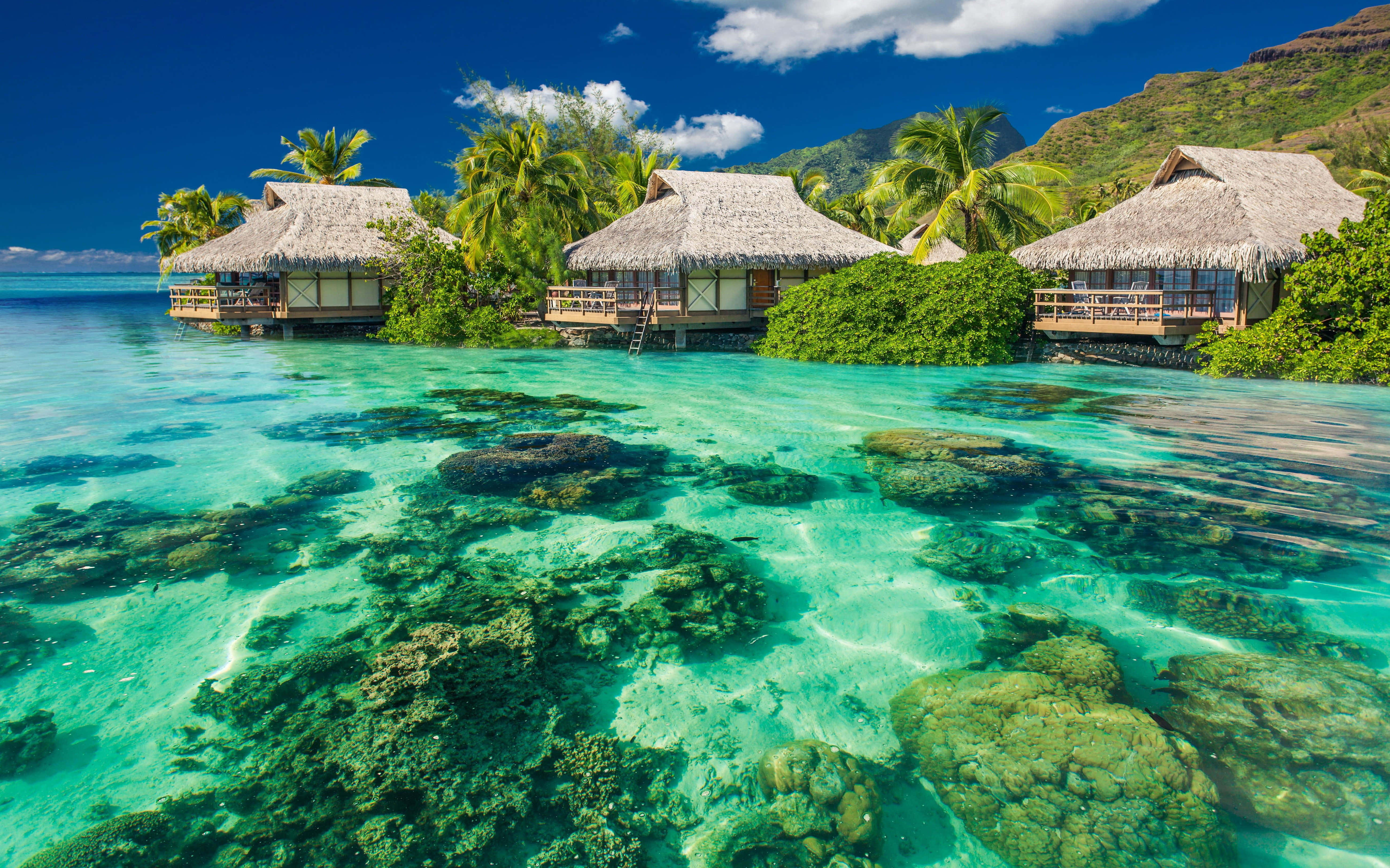 beach huts, turquoise water, coral reefs, 5K Desktop Wallpaper