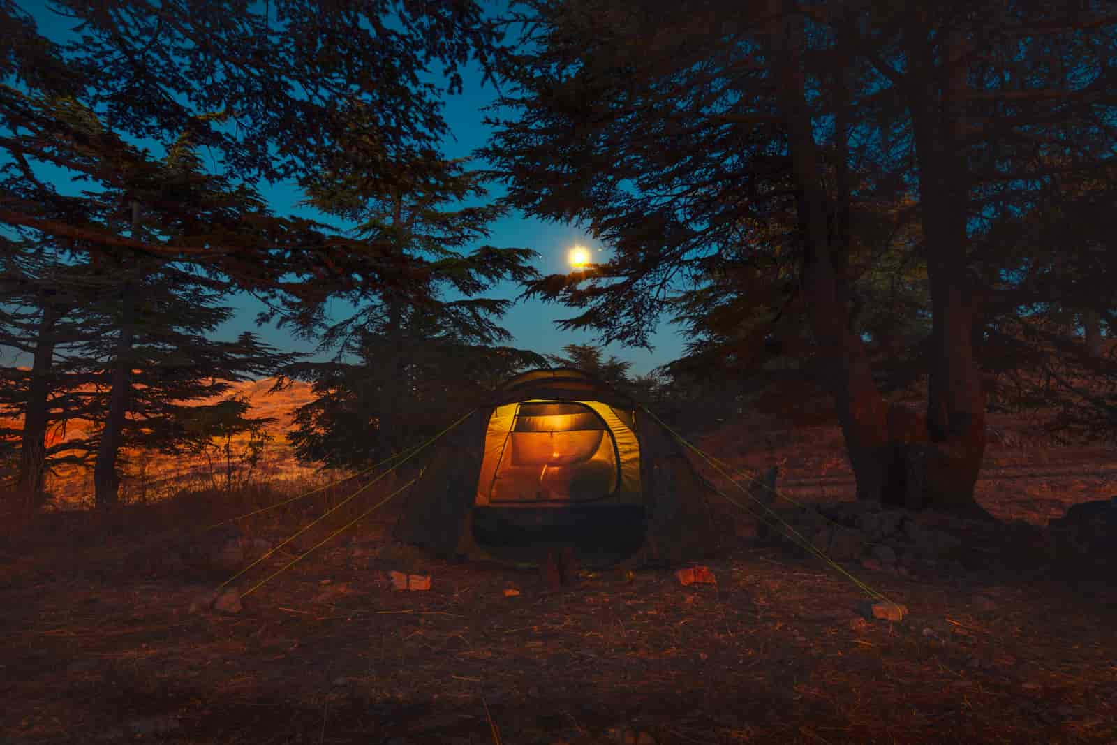 Beach Camping, glowing tent, forest at twilight, HD Desktop Wallpaper