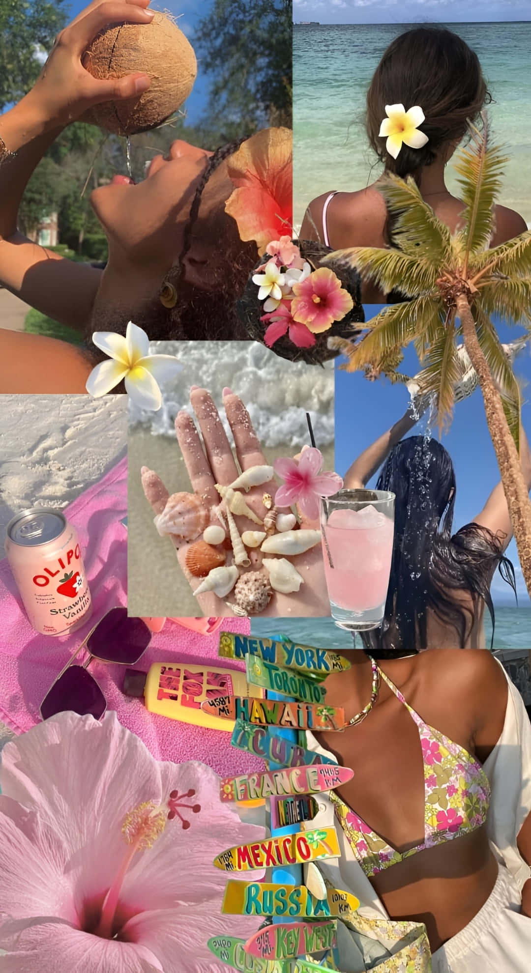 Beach Coconut Girl Vibes, coconut, frangipani flowers, Full HD Phone Wallpaper