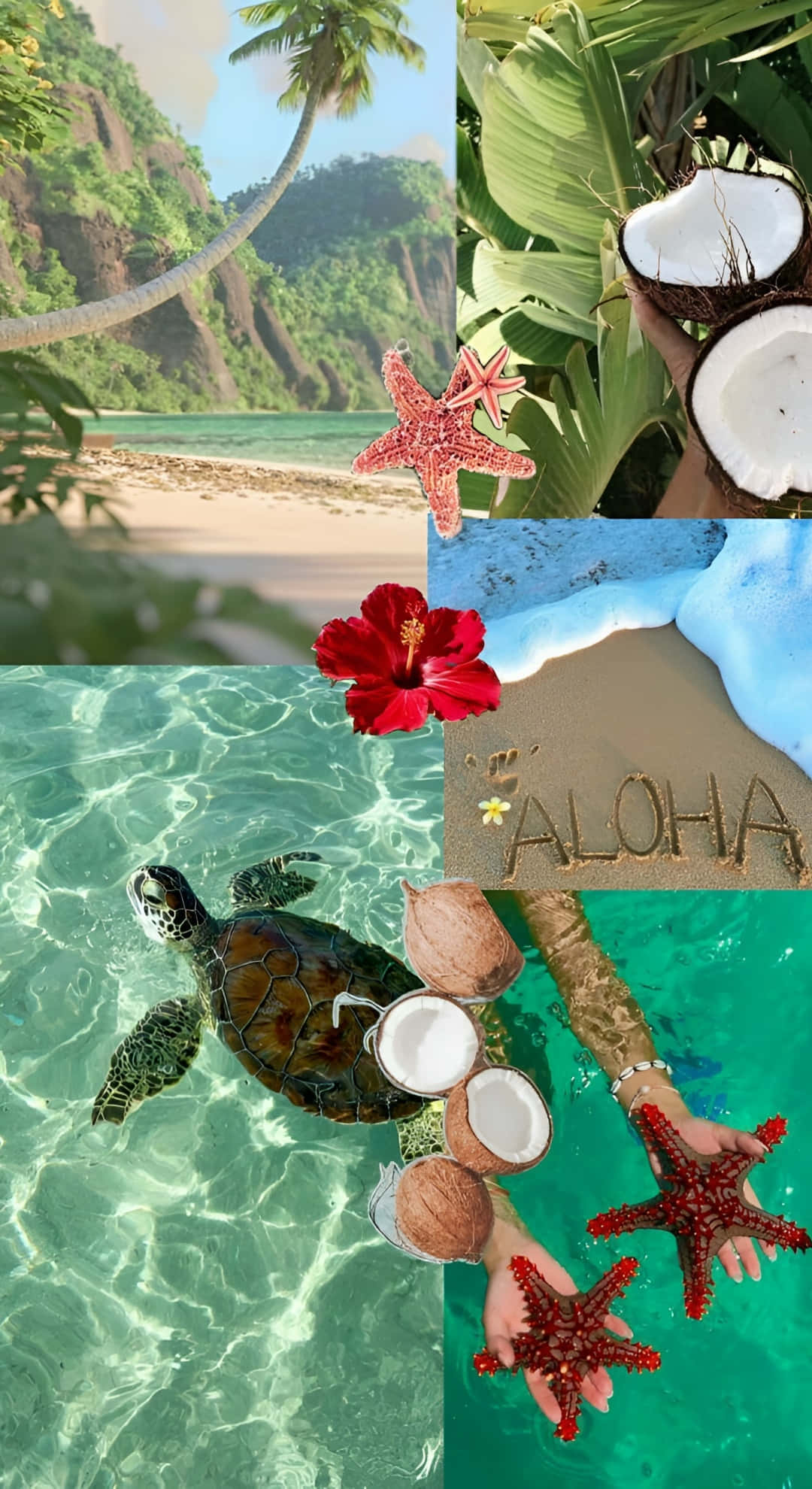Beach Coconut Girl Vibes, palm trees, beach, Full HD Phone Wallpaper