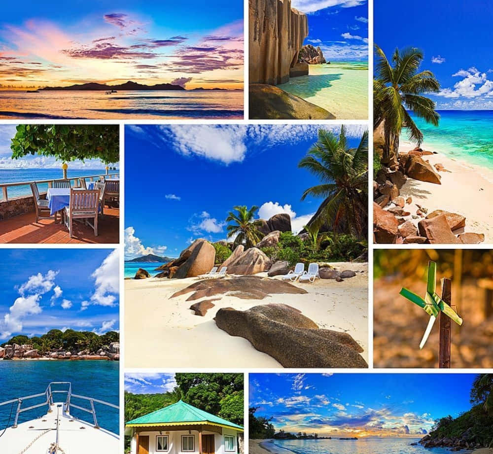 Beach Collage, turquoise waters, palm trees, SD Desktop Wallpaper