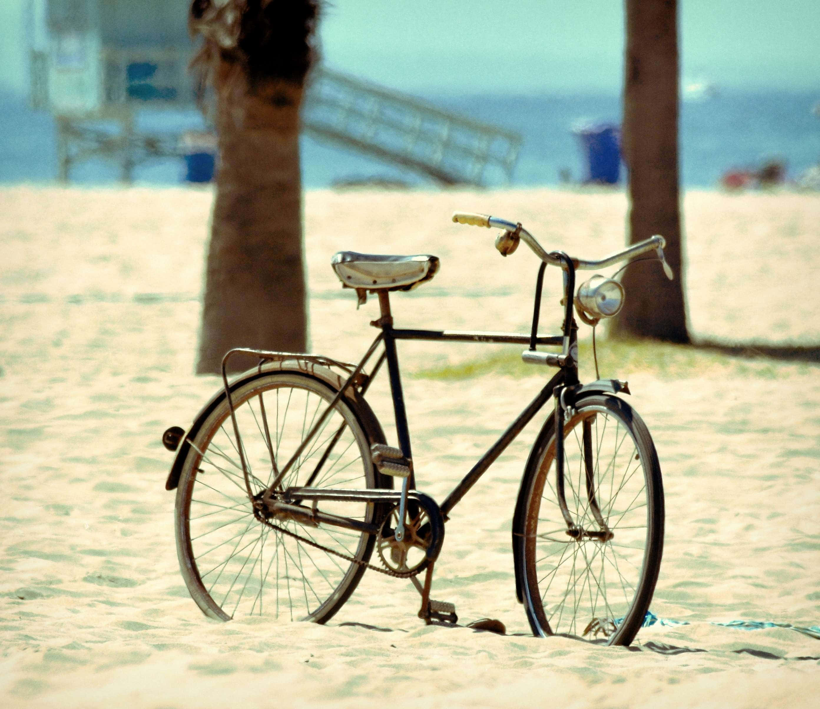 Beach Cruiser, vintage bicycle, sunlit beach sand, 2K Desktop Wallpaper