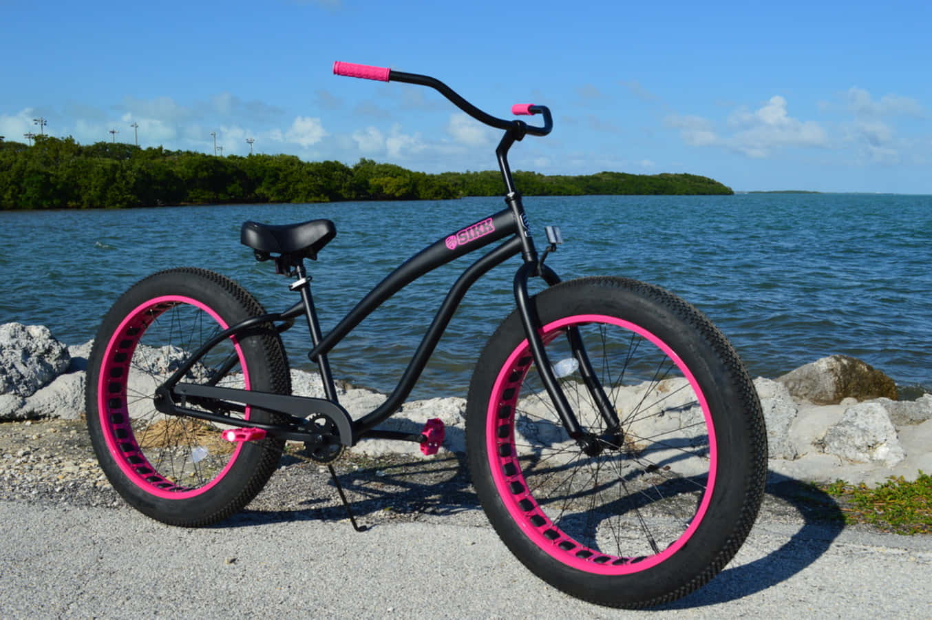 Beach Cruiser, black bicycle, vibrant pink wheels, HD Desktop Wallpaper