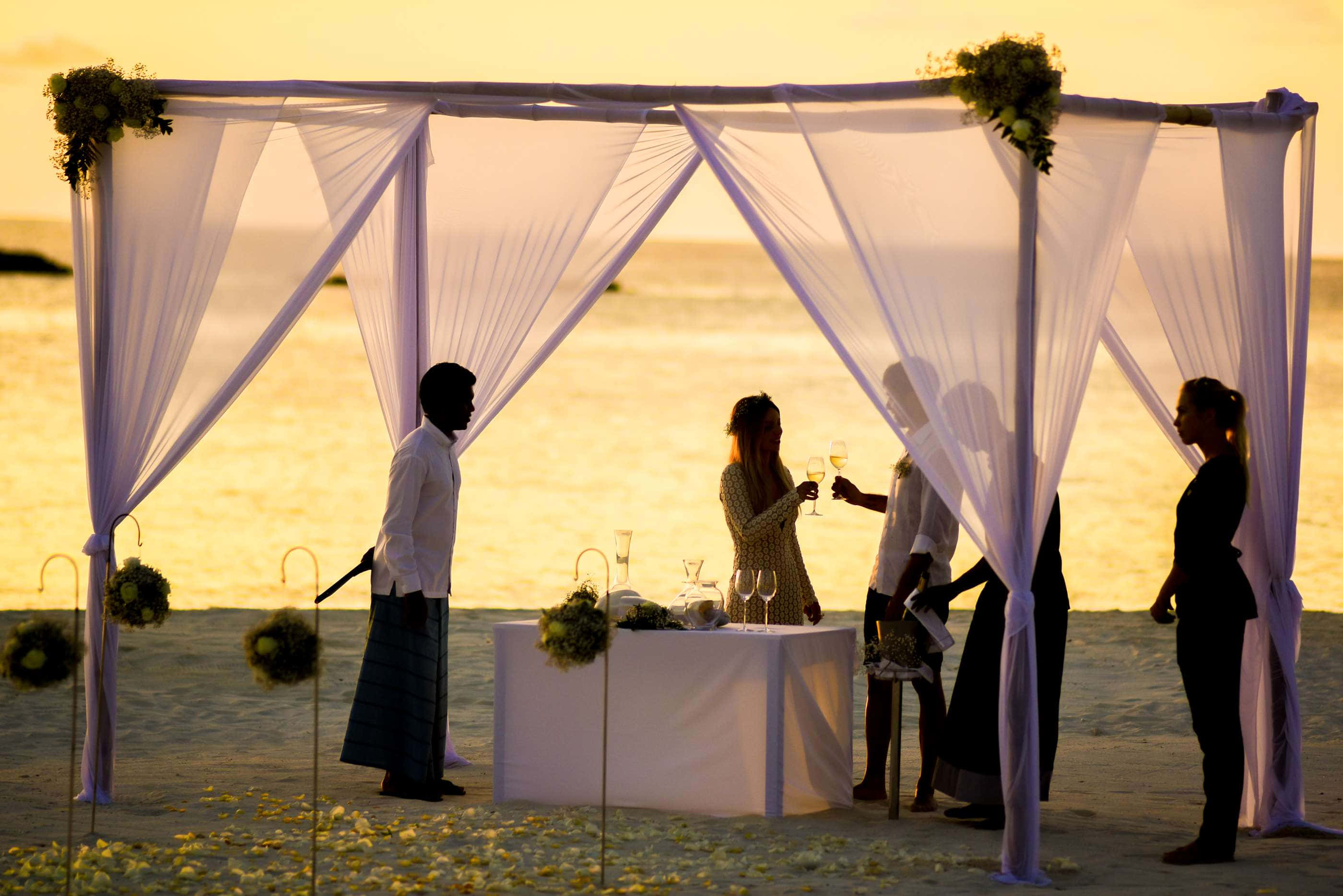 Beach Party, golden beach, sunset, 2K Desktop Wallpaper
