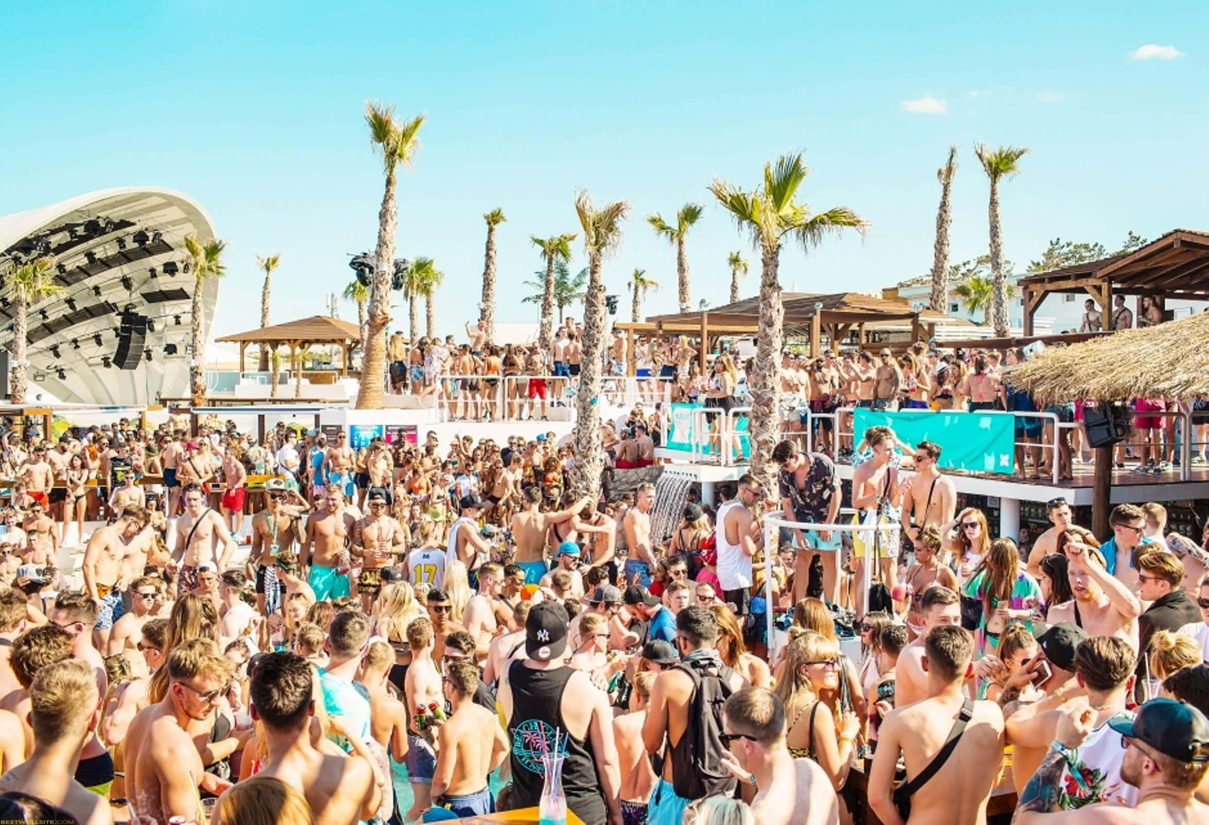 Beach Dance Party, palm trees, vibrant beachside music festival, Full HD Desktop Wallpaper