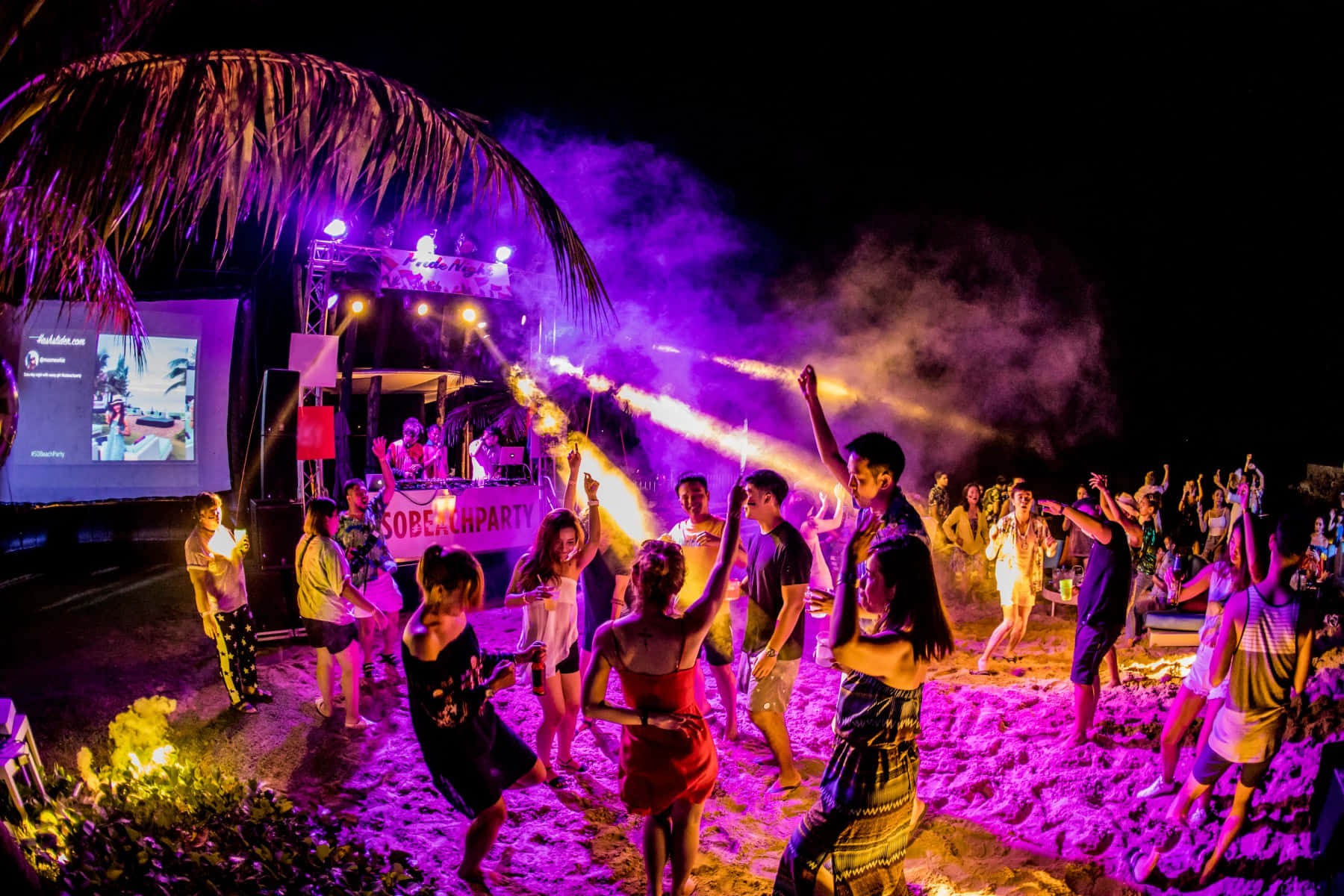 Beach Dance Party, palm trees, purple lights, HD Desktop Wallpaper