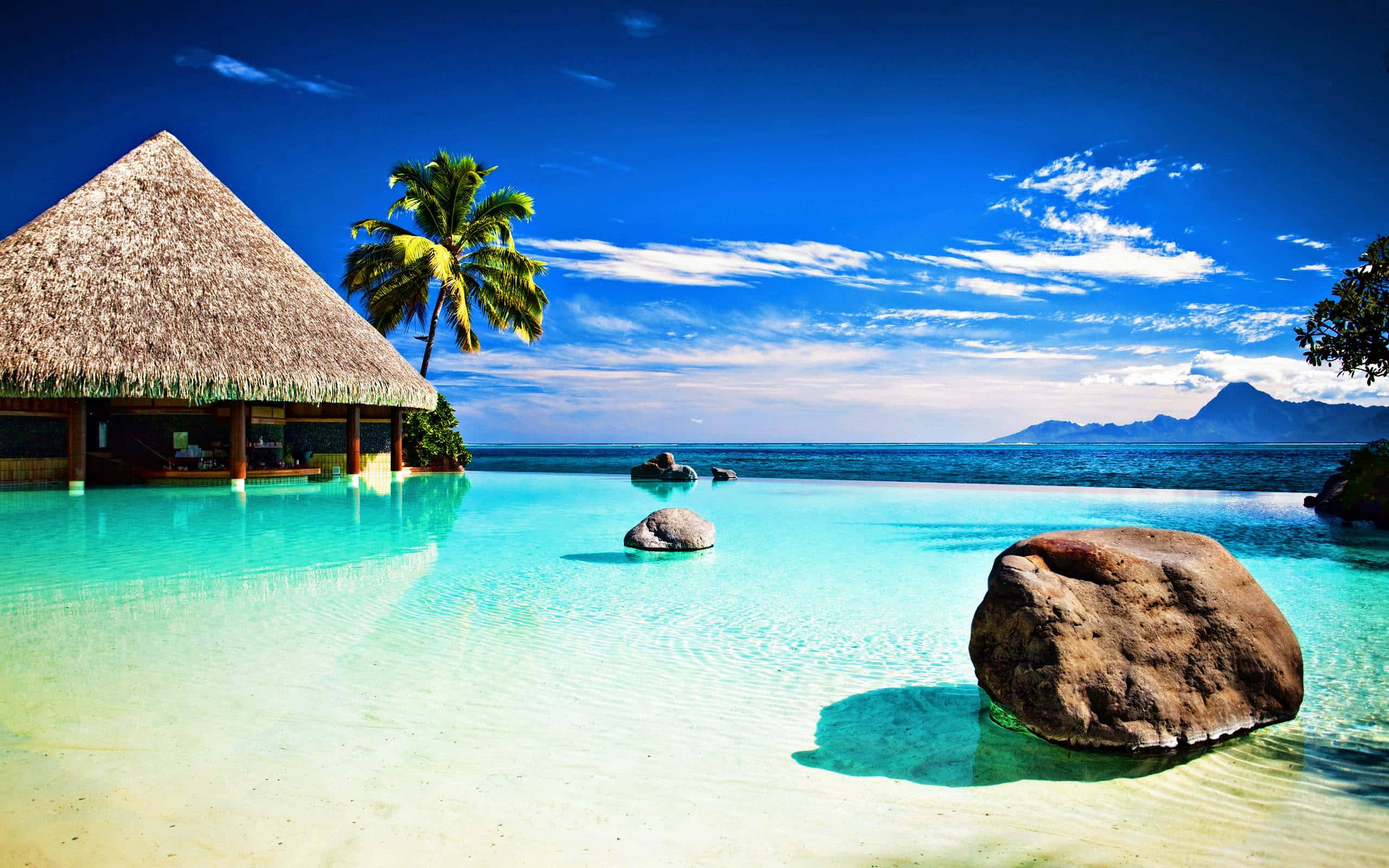 overwater bungalow, thatched roof, infinity pool, 2K Desktop Wallpaper