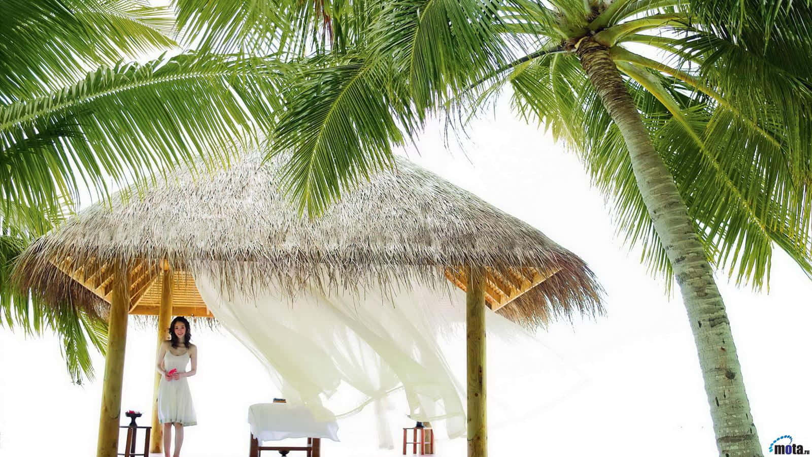 beach daybed, thatched-roof gazebo, palm fronds, HD Desktop Wallpaper