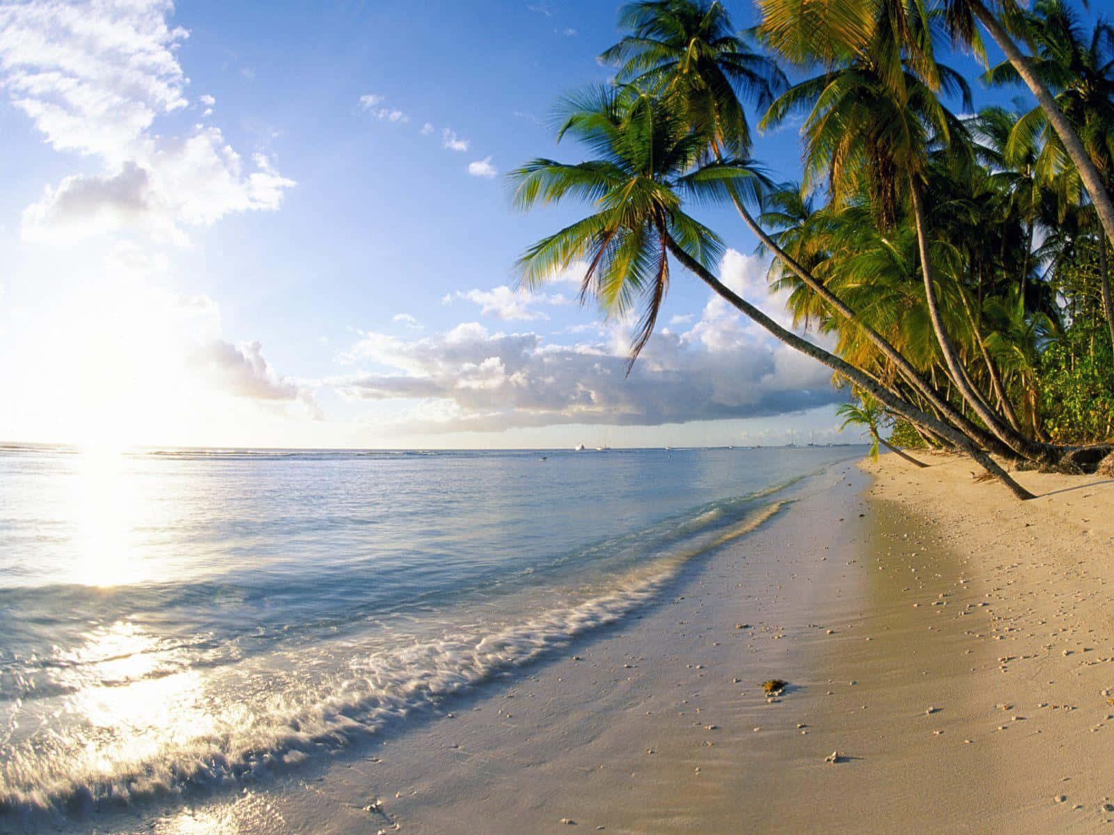 Summertime, Ocean Beach, turquoise waters, HD Desktop Wallpaper