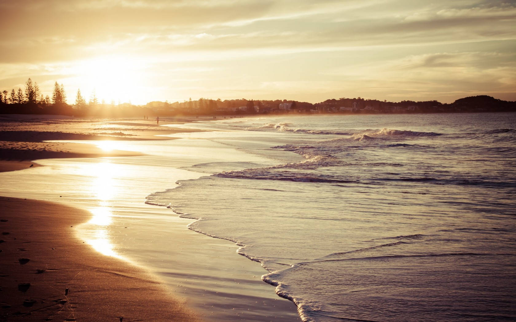 sunset shoreline beach desktop, golden sunset, wet sand, HD Desktop Wallpaper