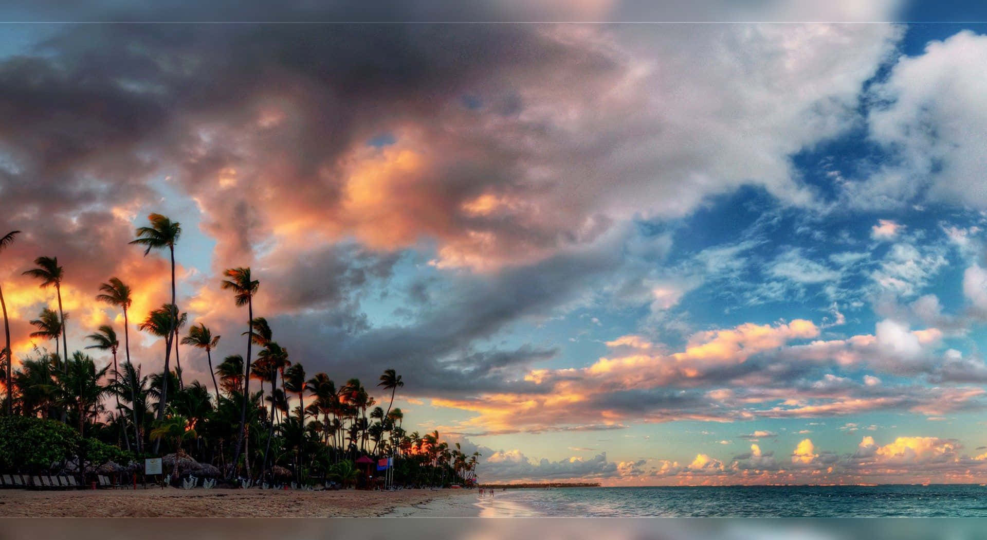 beach, palm trees, sunset, Full HD Desktop Wallpaper