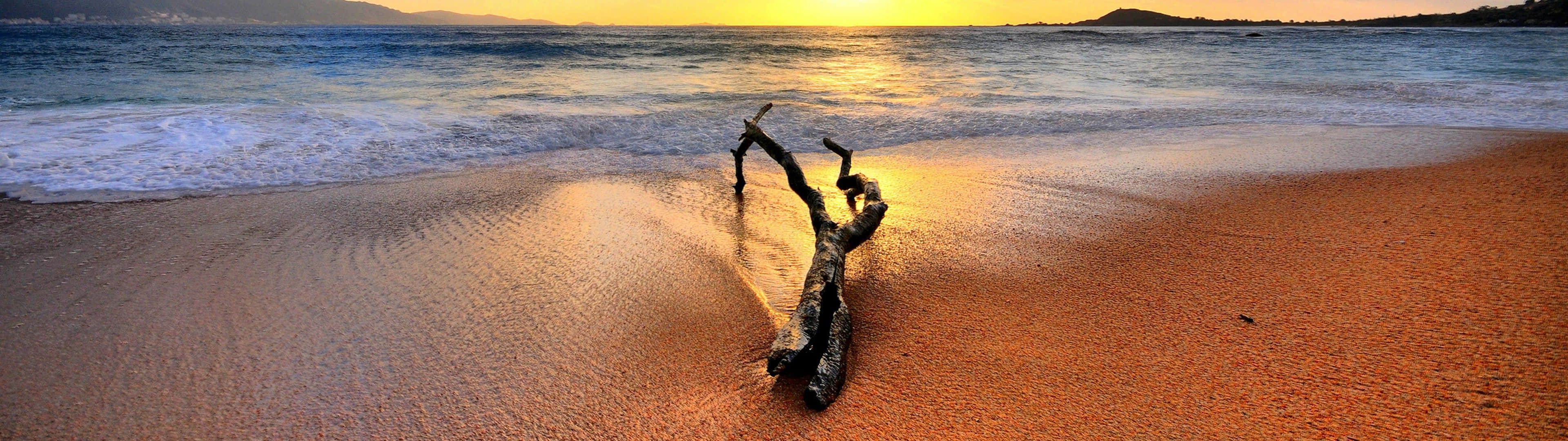 beach chair, driftwood log, golden sand, 4K Desktop Wallpaper