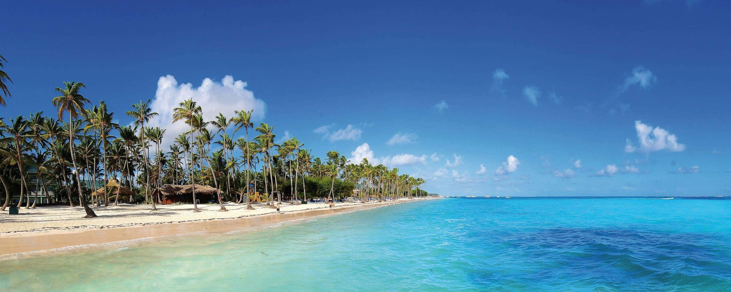 beach, tropical beach, turquoise waters, 2K Desktop Wallpaper