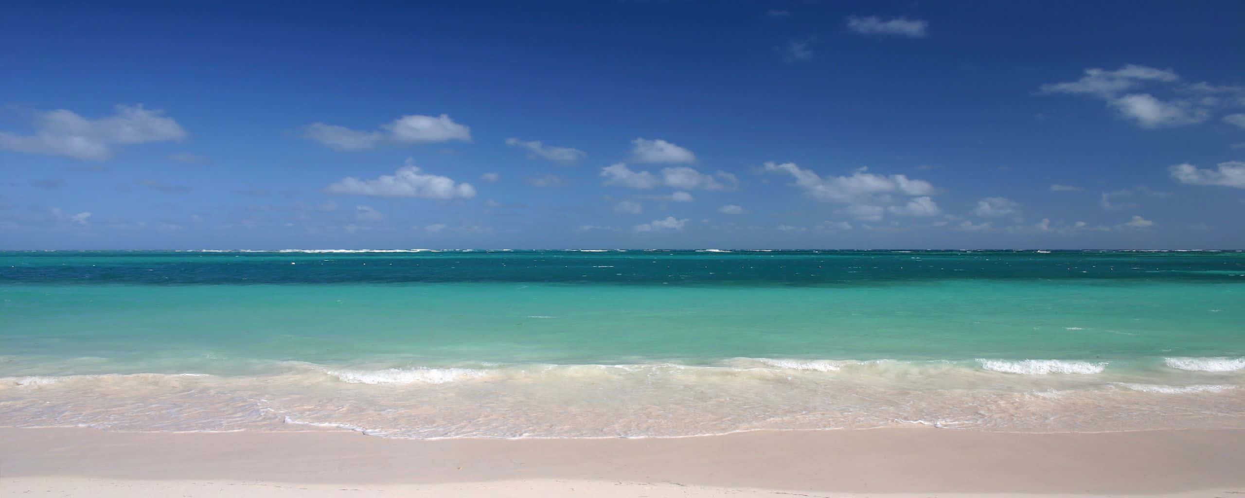 Beach Dual Monitor, tropical palm trees, turquoise waters, 2K Desktop Wallpaper