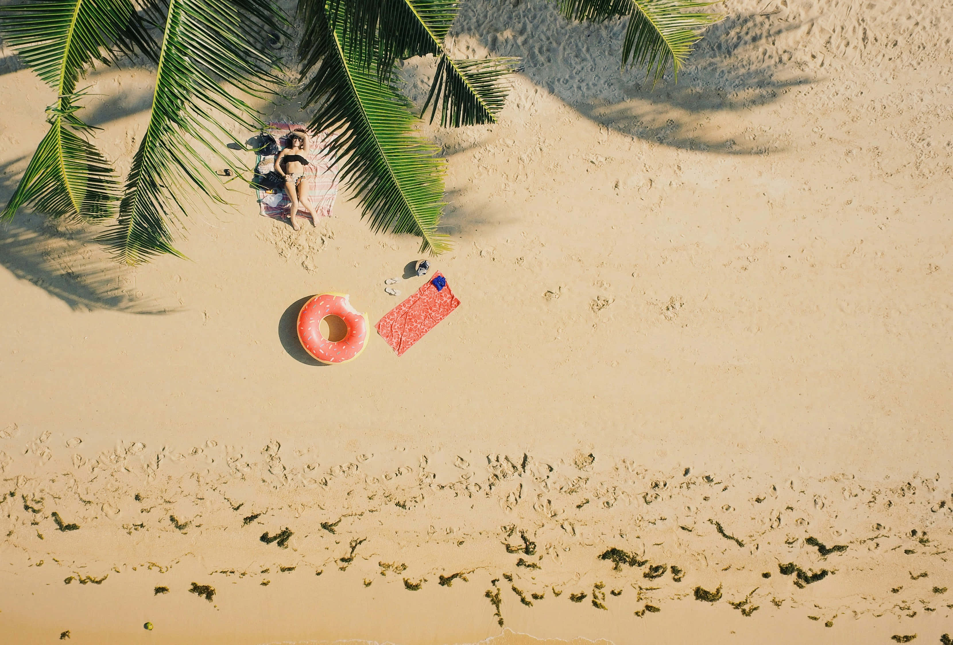 aerial view, palm trees, sandy beach, 2K Desktop Wallpaper