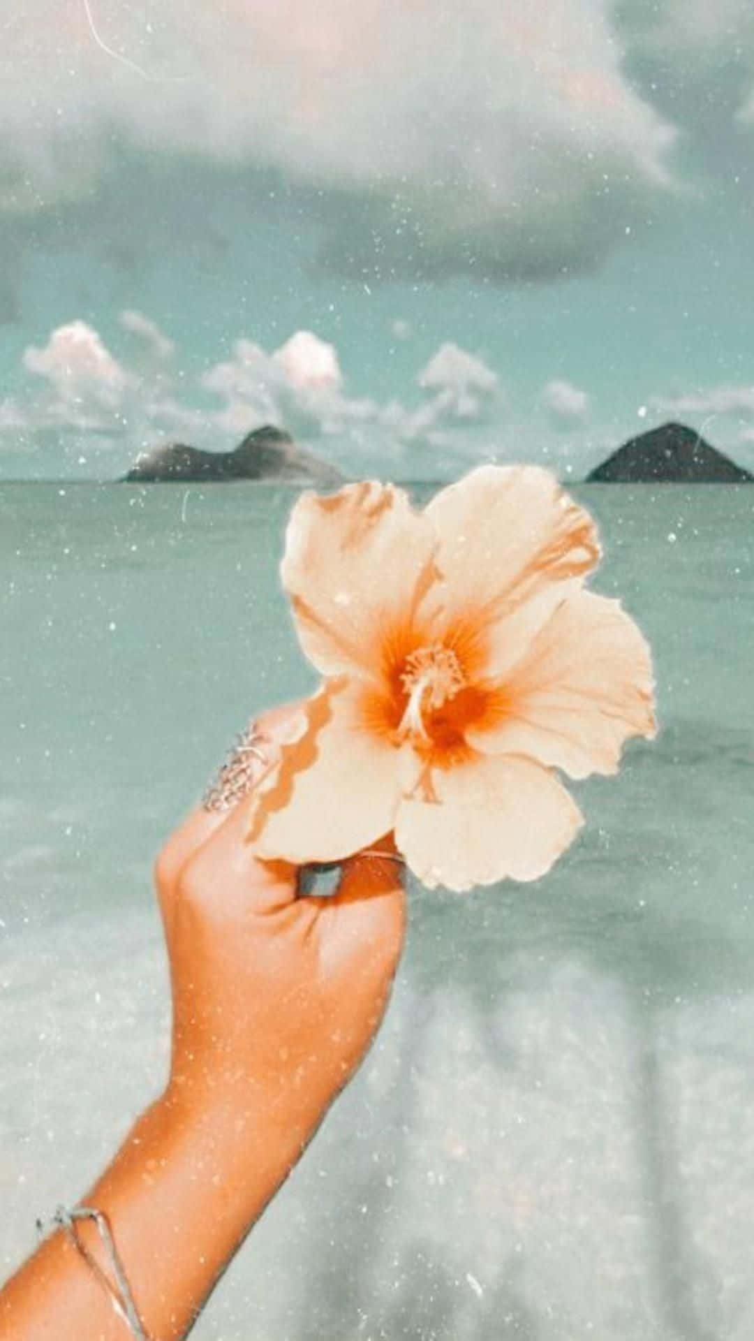 pale peach hibiscus flower, dreamy turquoise ocean, distant islands, Full HD Phone Wallpaper