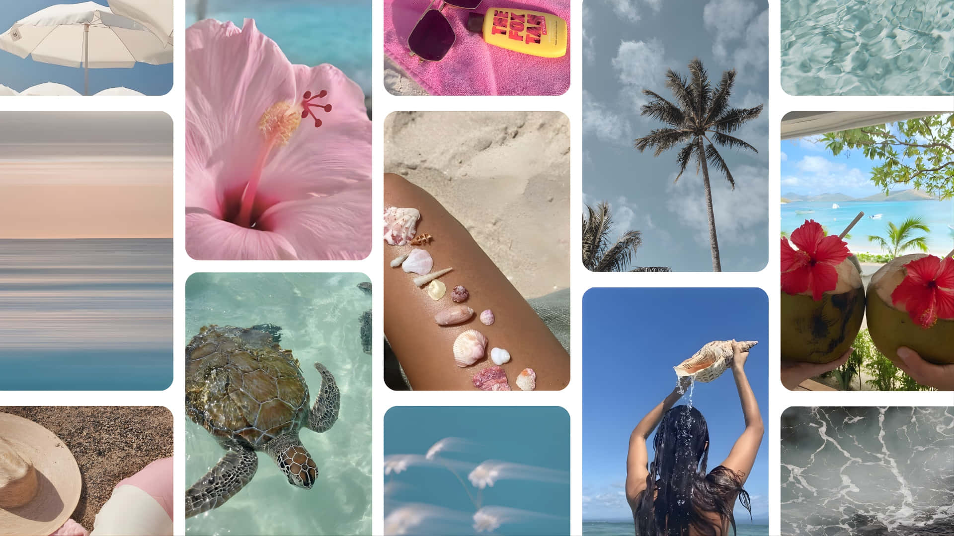 beach coconut girl aesthetic, pink hibiscus, sea turtles, Full HD Desktop Wallpaper
