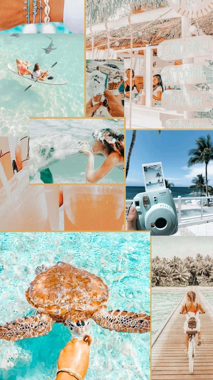 Beach Girl Summer Vibes Collage, sea turtle, paddleboards, HD Phone Wallpaper
