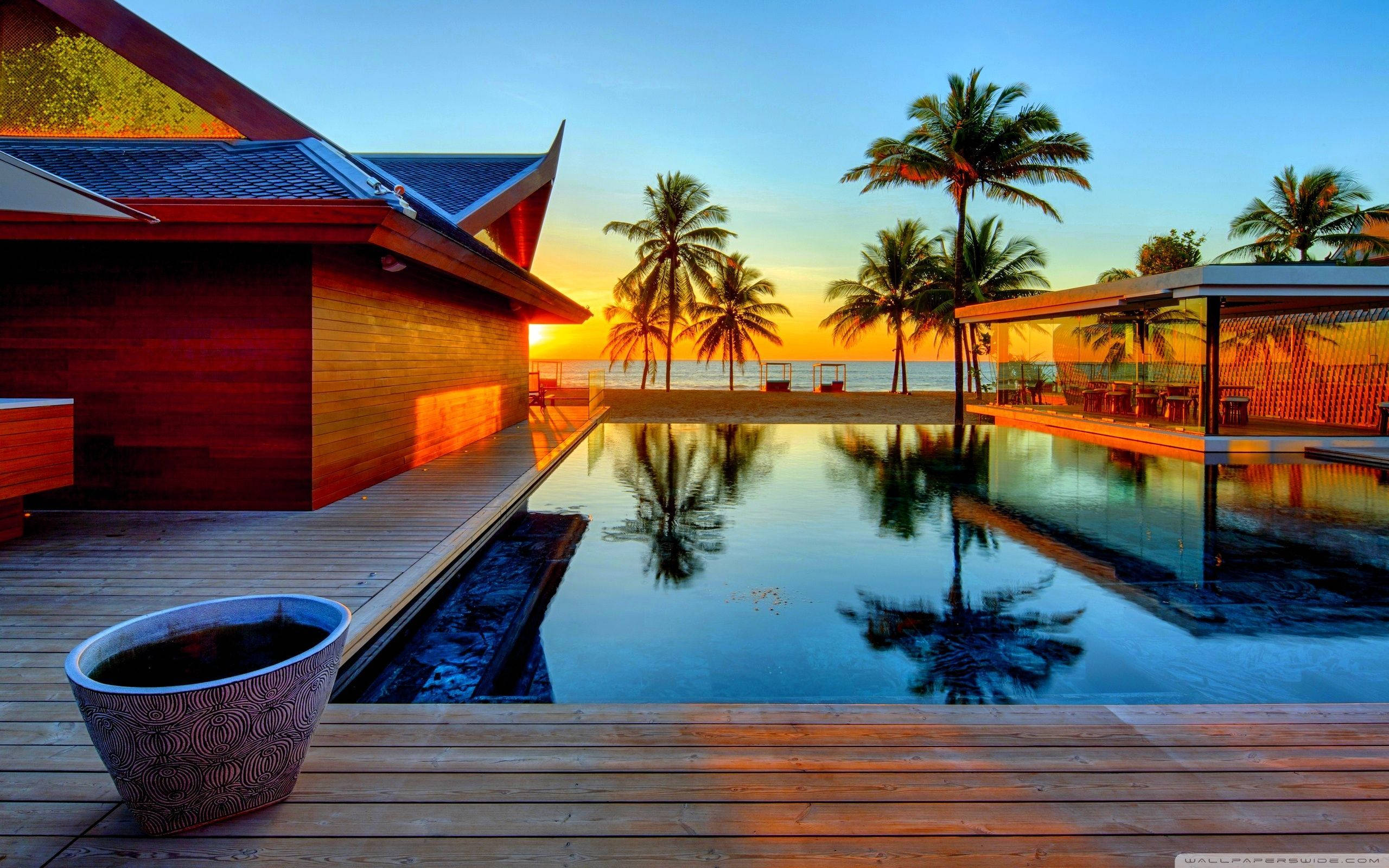 infinity pool, sunset, palm trees, 2K Desktop Wallpaper