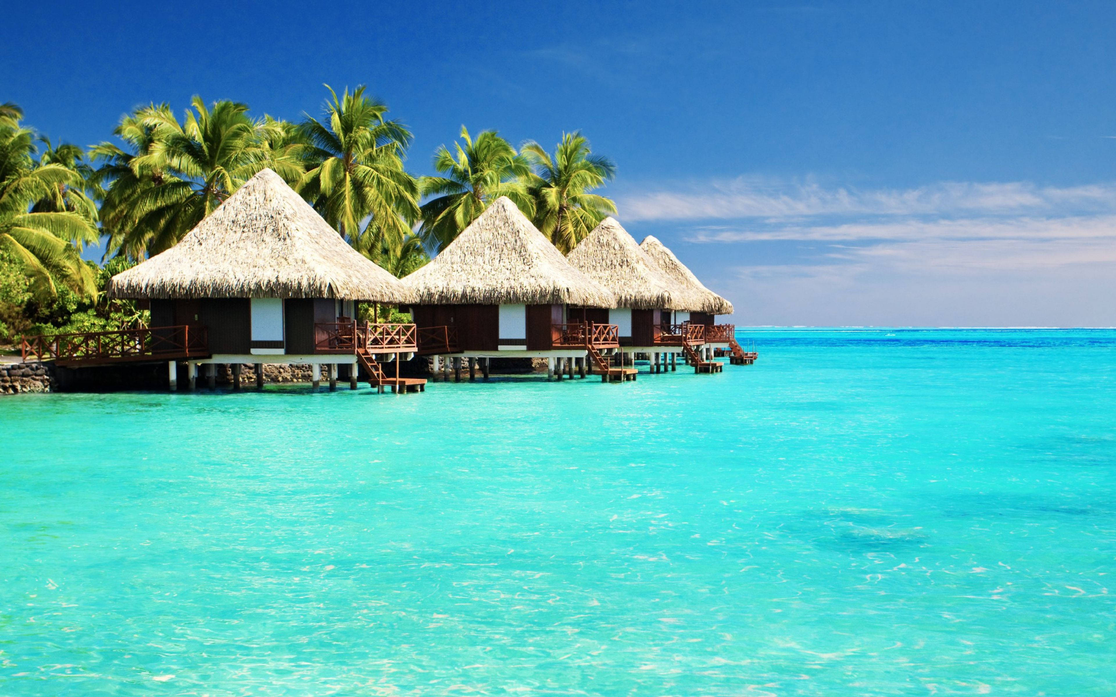 4K Summer Hut, overwater bungalows, thatched roofs, 4K Desktop Wallpaper