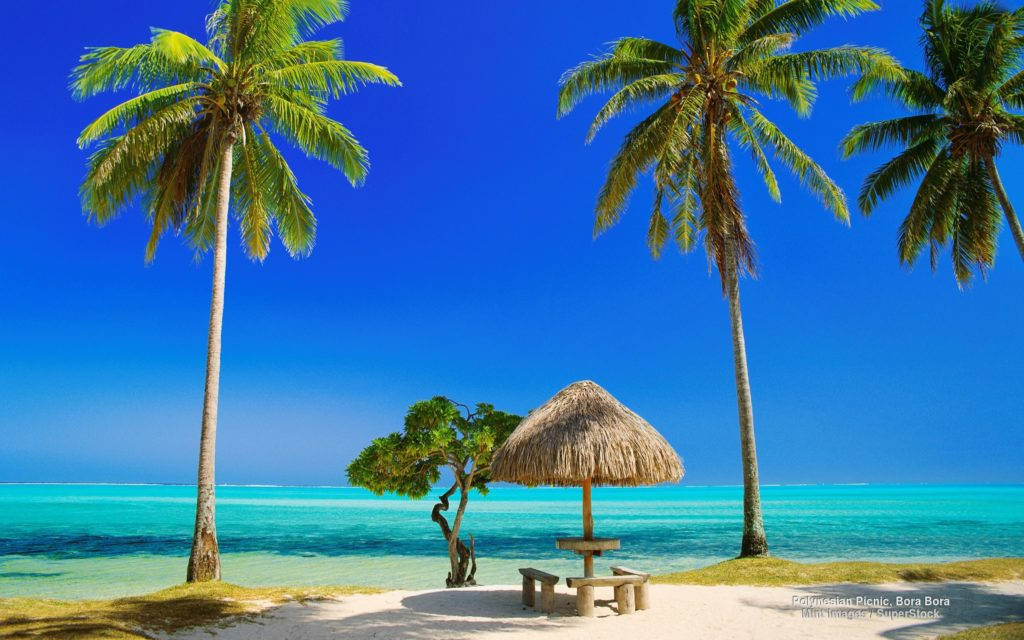 tropical beach, palm trees, thatched hut, SD Desktop Wallpaper