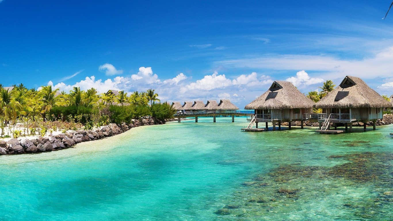 thatched huts, overwater bungalows, turquoise waters, HD Desktop Wallpaper